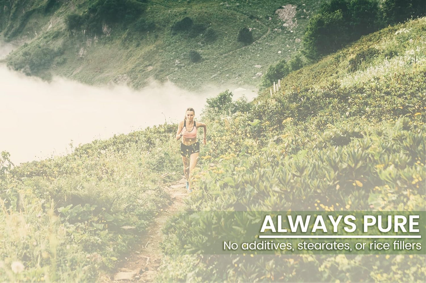 100 Capsules Pure Bamboo Extract with Original Ingredients, Lab Verified, No Additives or Fillers