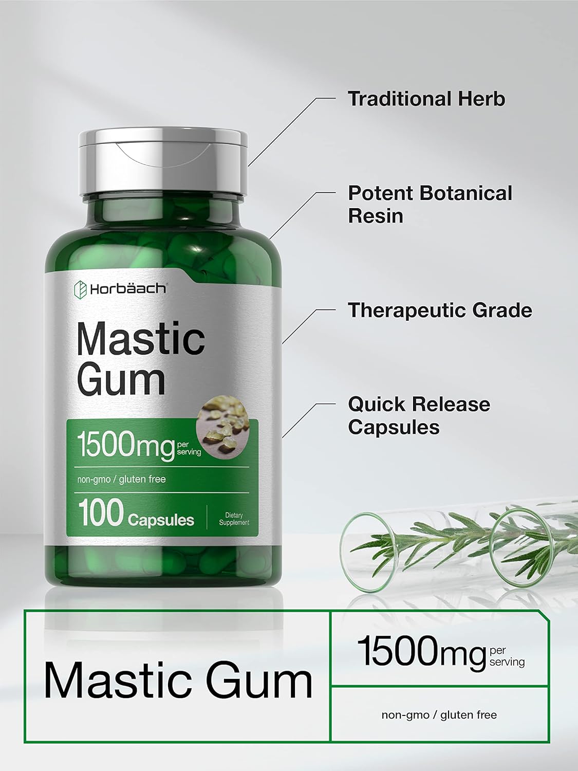100 Count Horbäach Mastic Gum Capsules - 1500mg | Non-GMO & Gluten-Free Formula