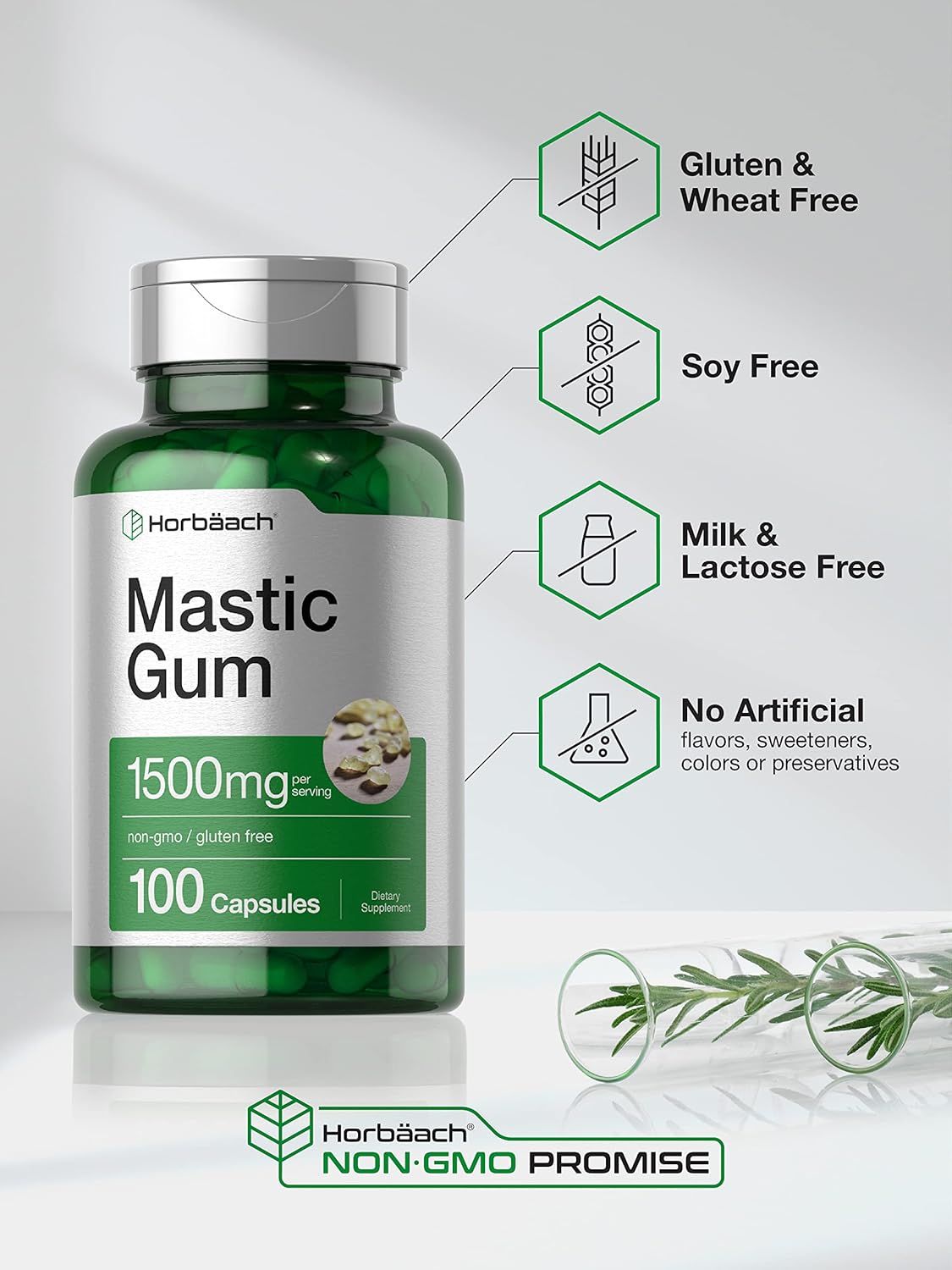 100 Count Horbäach Mastic Gum Capsules - 1500mg | Non-GMO & Gluten-Free Formula