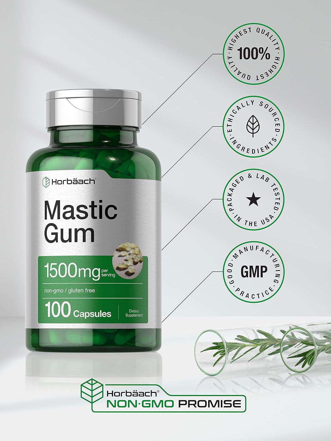 100 Count Horbäach Mastic Gum Capsules - 1500mg | Non-GMO & Gluten-Free Formula