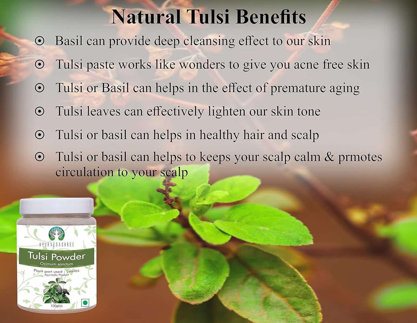 100 Gm Ayurvedic Tulsi Powder - Pure Holy Basil Leaf Powder - Vegan, Non GMO, Gluten Free - Ocimum Sanctum Powder