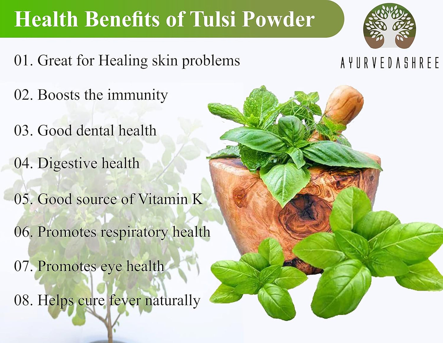 100 Gm Ayurvedic Tulsi Powder - Pure Holy Basil Leaf Powder - Vegan, Non GMO, Gluten Free - Ocimum Sanctum Powder