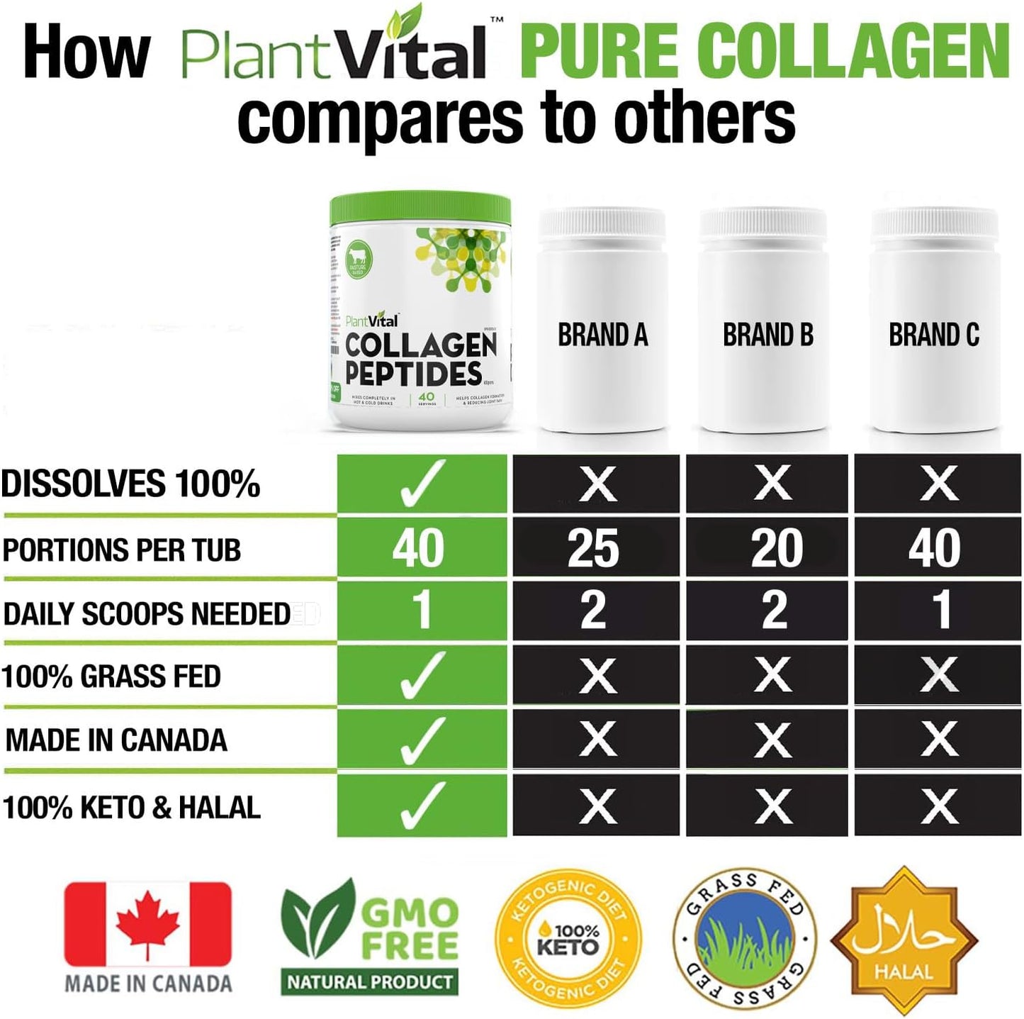 100% Grass-Fed Collagen Peptides Powder - Non-GMO, Paleo Friendly - Unflavored, Made in USA - 40 Servings, 400g (Pack of 2)