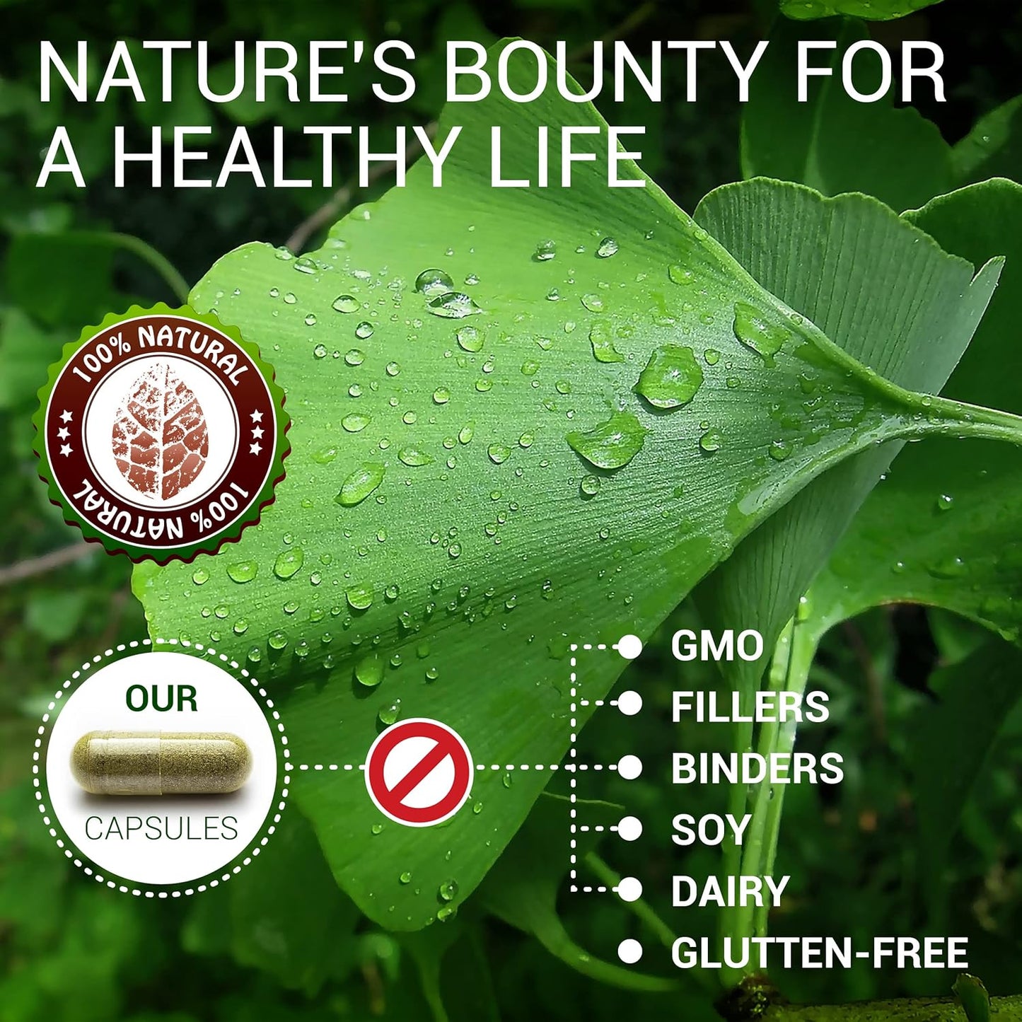 100 Herbalicious Ginkgo Biloba Capsules for Daily Mental Clarity, Focus, Memory, Stress Relief, Heart and Brain Health - Natural Nootropic Supplement for Men and Women