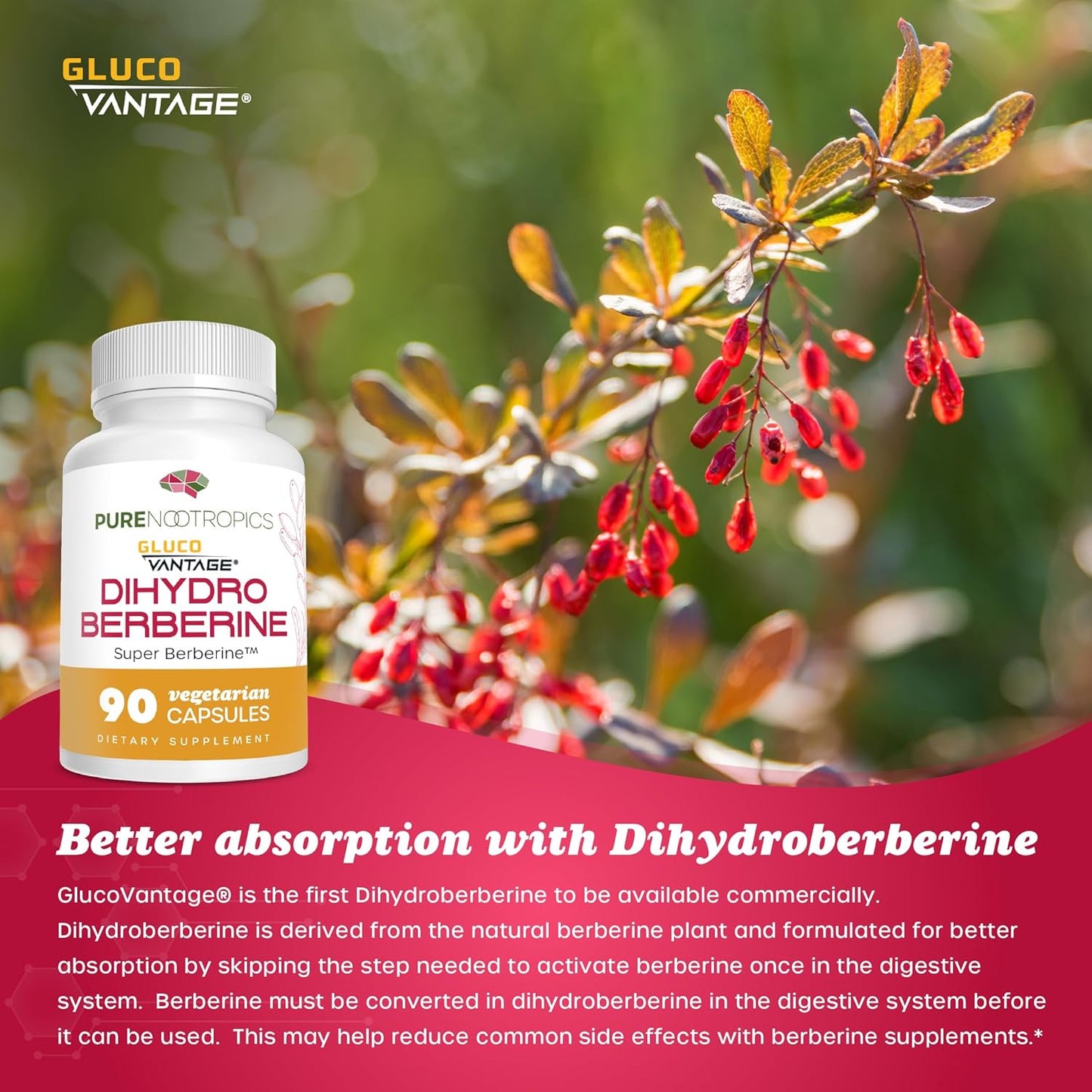 100 mg 90 Capsules Pure Dihydroberberine Supplement (GlucoVantage) for Enhanced Mental Clarity and Focus