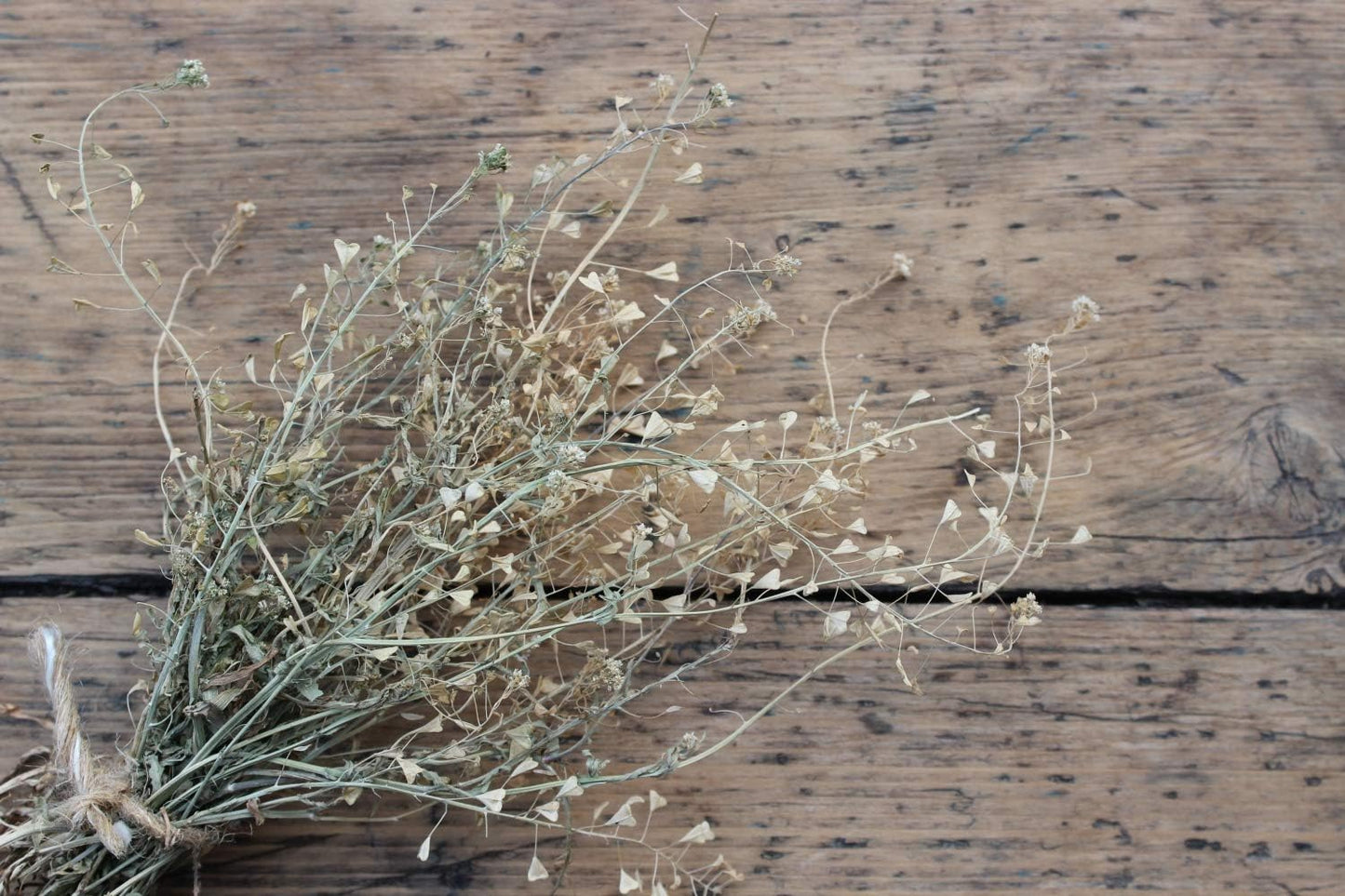 100% Natural Shepherds Purse Herb (Capsella Bursa-pastoris) - 50g by Health Embassy