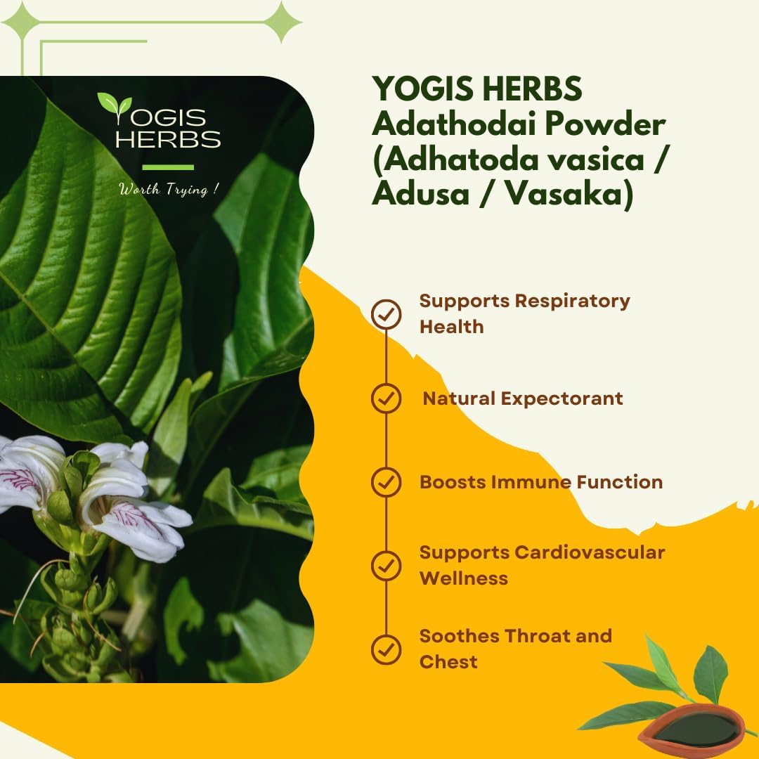 100% Natural YOGIS HERBS Adathodai Powder for Respiratory Wellness & Immune Support - Traditional Herbal Supplement (3.5 oz)