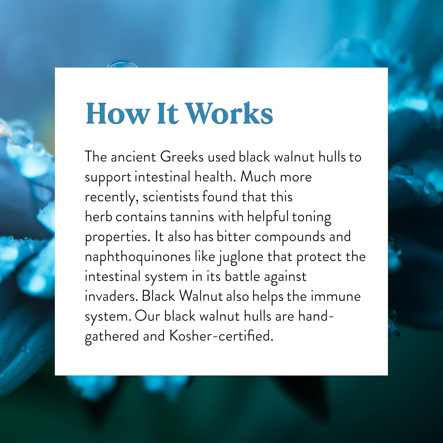 100 Nature's Sunshine Black Walnut Capsules for Natural Health Support