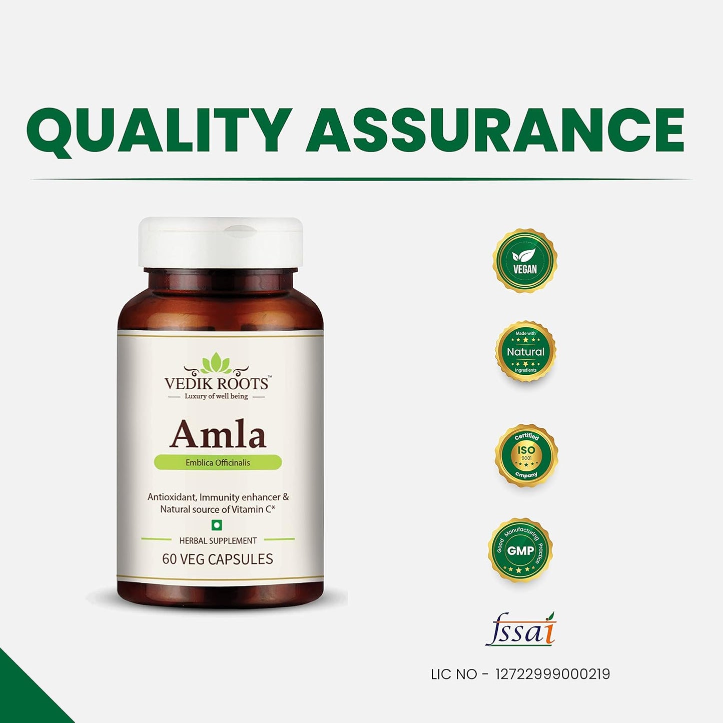 100% Organic Amla Capsules for Immunity Boost - Natural Vitamin C Source - Herbal Supplements (60 Capsules)