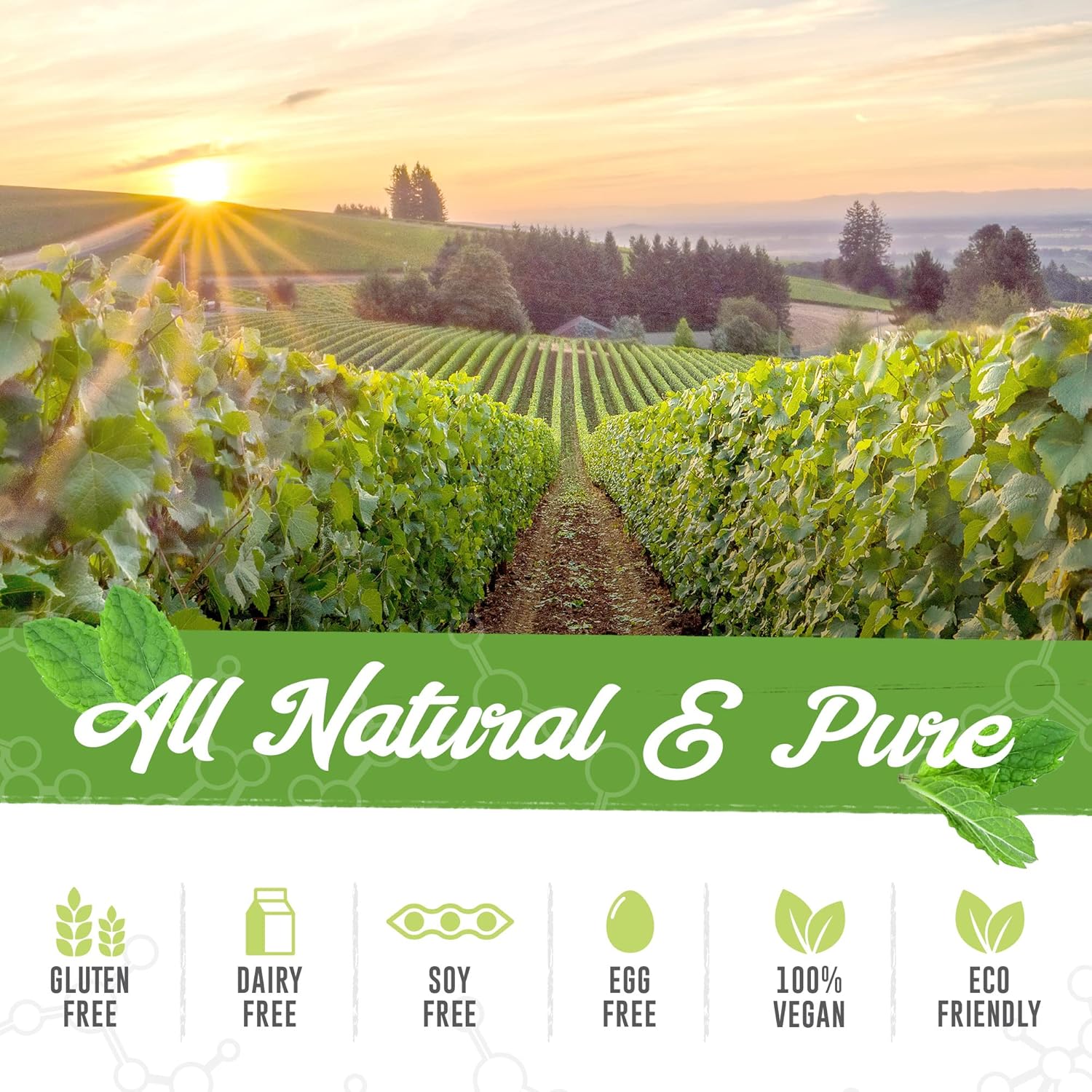 100% Pure Garcinia Cambogia Extract with 95% Natural HCA - 1368mg per Serving - Fast Slimming Formula Support - All-Natural Appetite Suppressant - 30 Servings for Men & Women