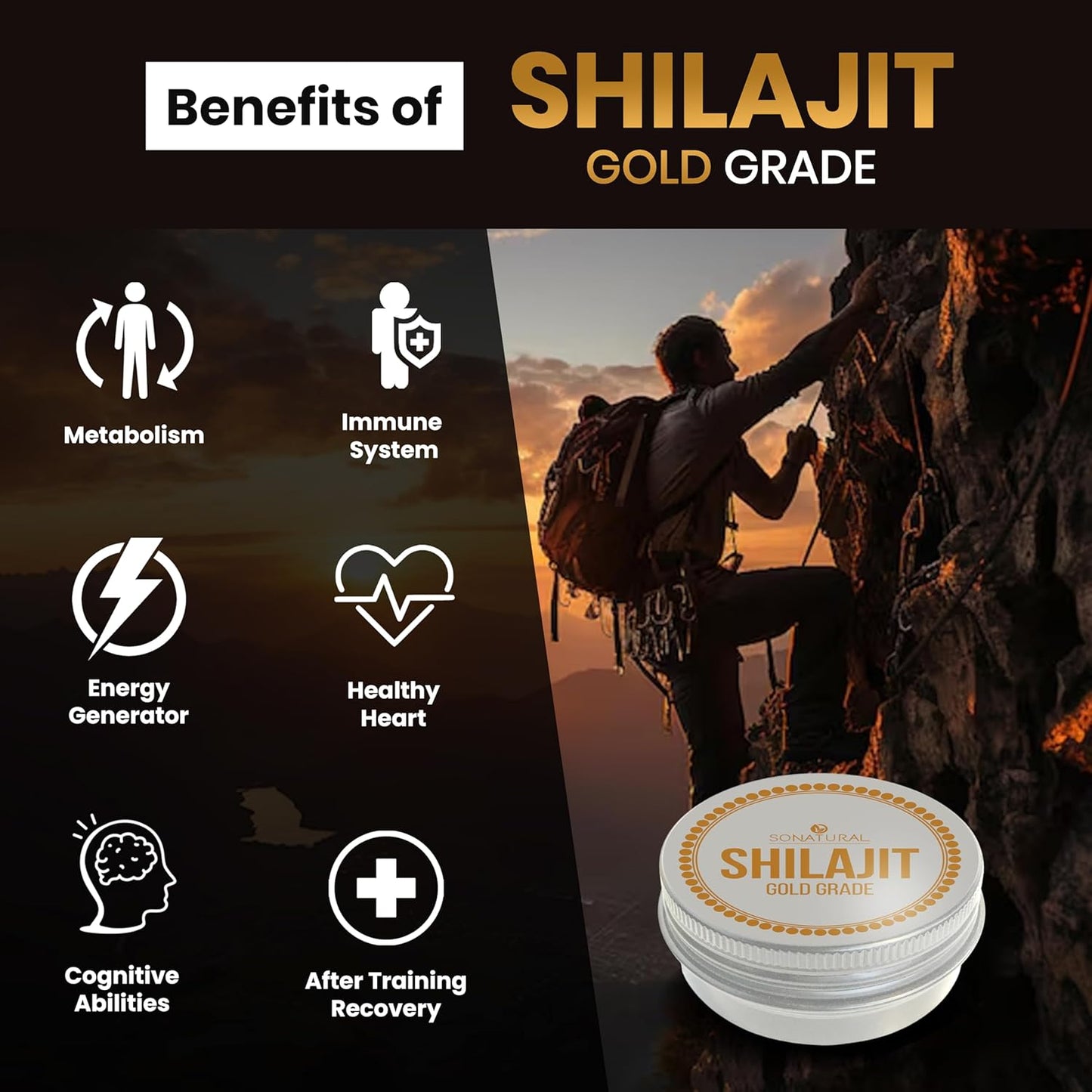 100% Pure Himalayan Organic Shilajit Resin - 30g Gold Grade with Fulvic Acid & 85+ Trace Minerals for Energy & Immune Support, 2 Months Supply