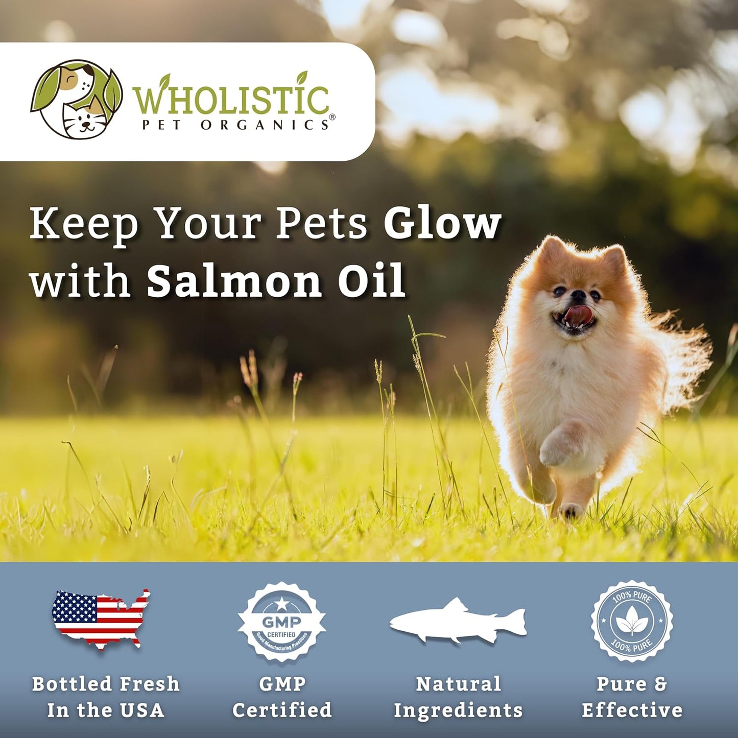 100 Soft Gels of Wholistic Pet Organics Wild Alaskan Salmon Oil for Dogs - Omega 3 Fish Oil with EPA & DHA for Skin, Coat, Joint, and Heart Health - Ideal Choice for Dog Skin & Coat Care