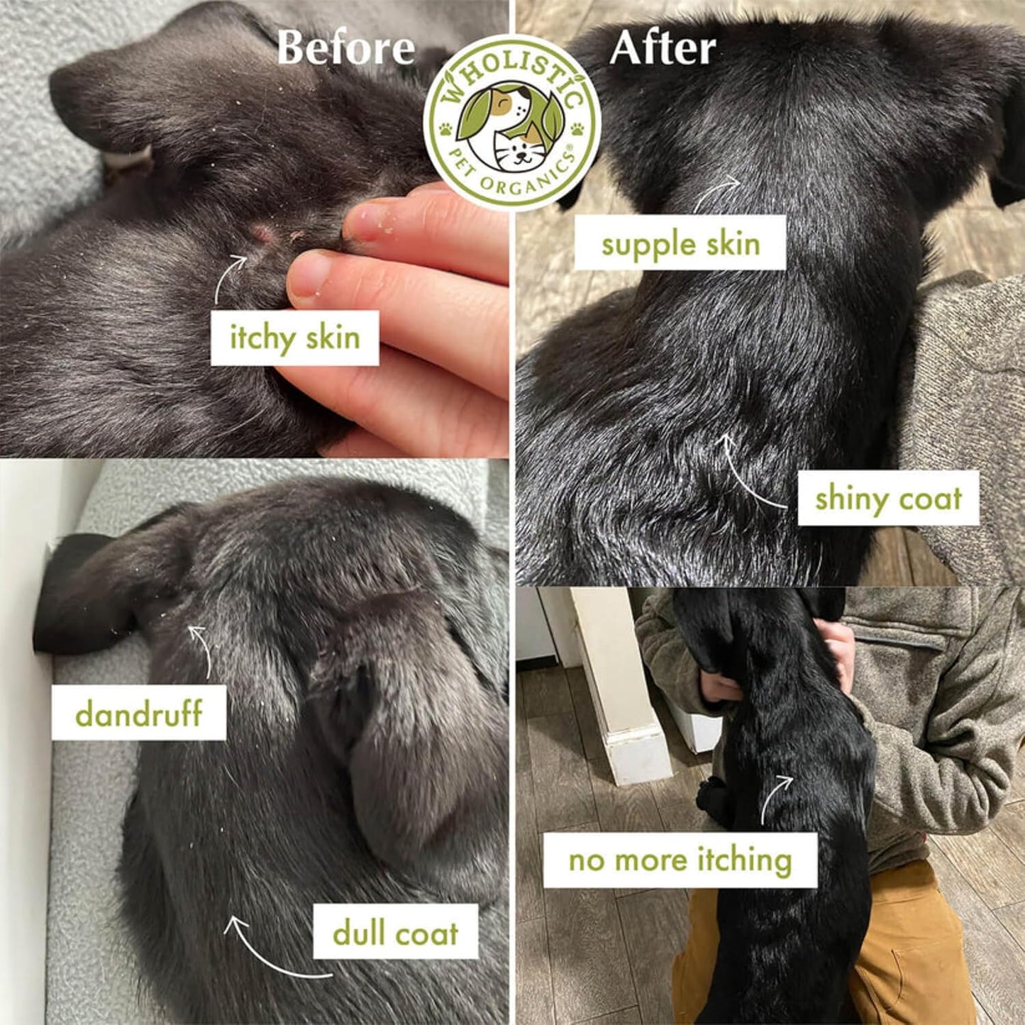 100 Soft Gels of Wholistic Pet Organics Wild Alaskan Salmon Oil for Dogs - Omega 3 Fish Oil with EPA & DHA for Skin, Coat, Joint, and Heart Health - Ideal Choice for Dog Skin & Coat Care