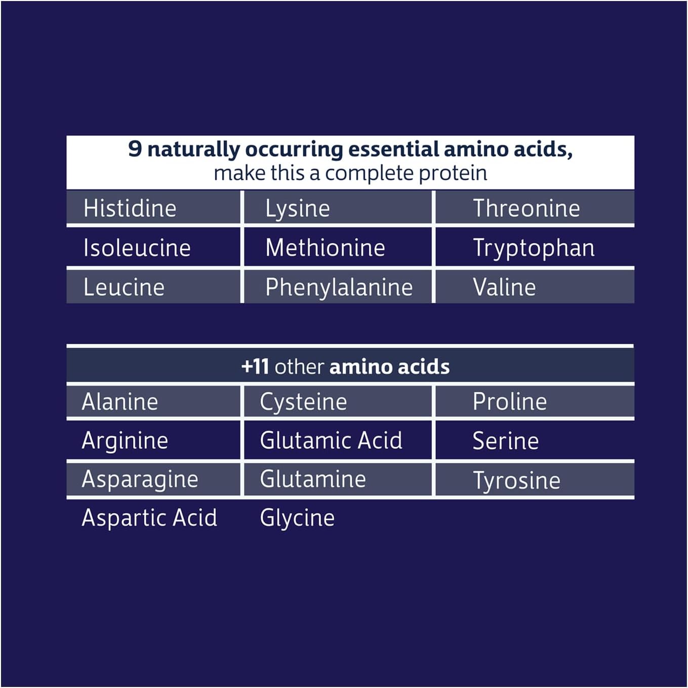 100% Whey Isolate Protein Powder - Chocolate Flavor - 30.9 oz - Boosts Immune Health - Easy to Digest - Delicious Taste - 20g Plant-Based Protein - Amino Acids Included