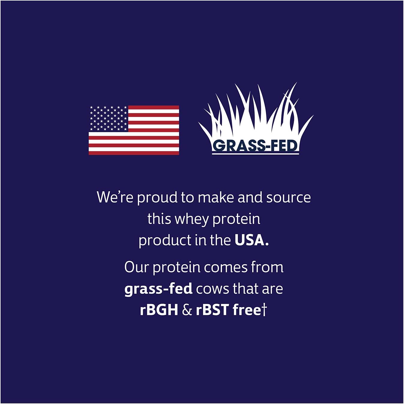 100% Whey Isolate Protein Powder - Chocolate Flavor - 30.9 oz - Boosts Immune Health - Easy to Digest - Delicious Taste - 20g Plant-Based Protein - Amino Acids Included