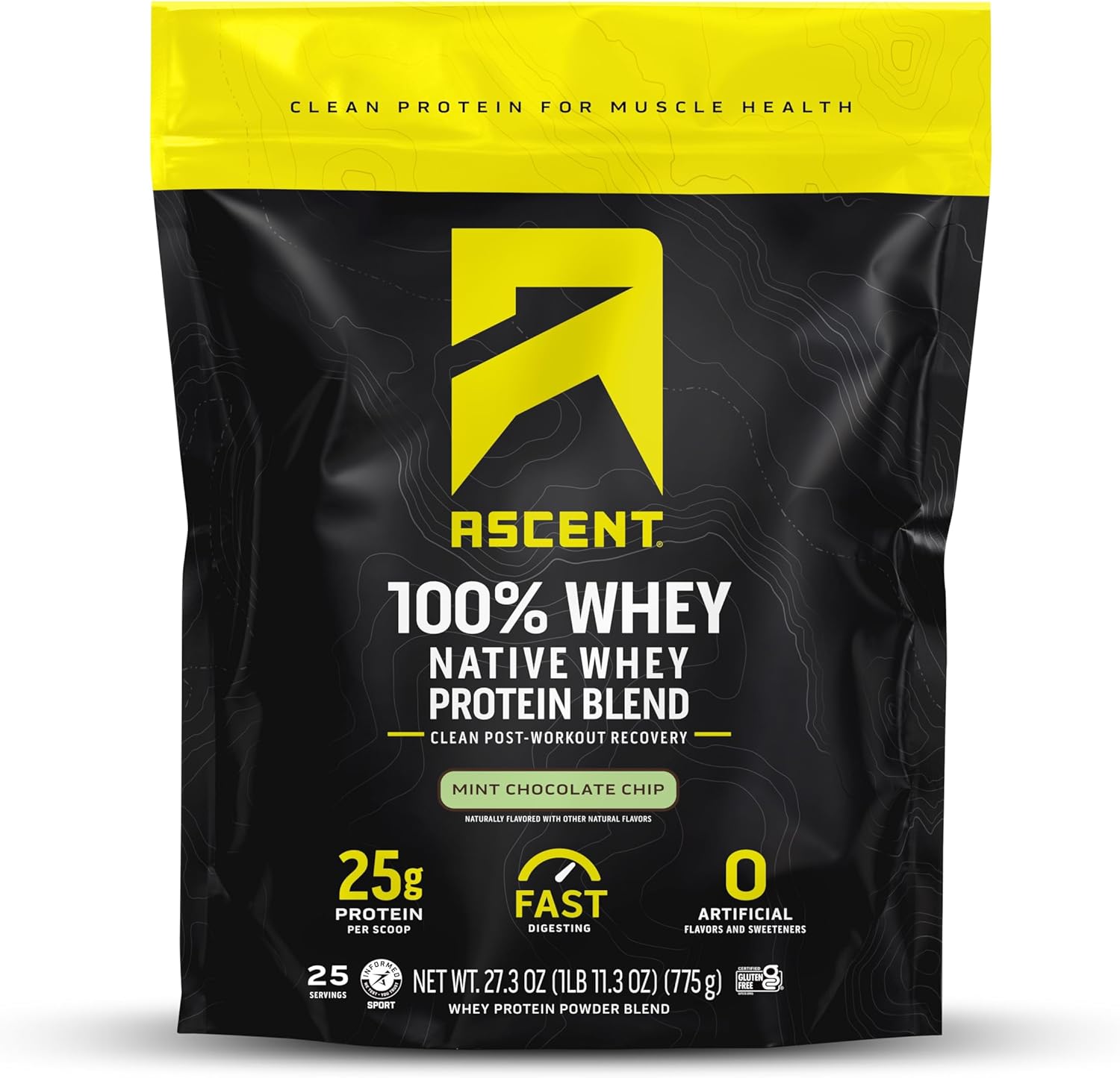 100% Whey Protein Isolate Powder - Mint Chip Flavor, Gluten-Free, 5.5g BCAA, Zero Artificial Additives, Post-Workout Recovery Supplement