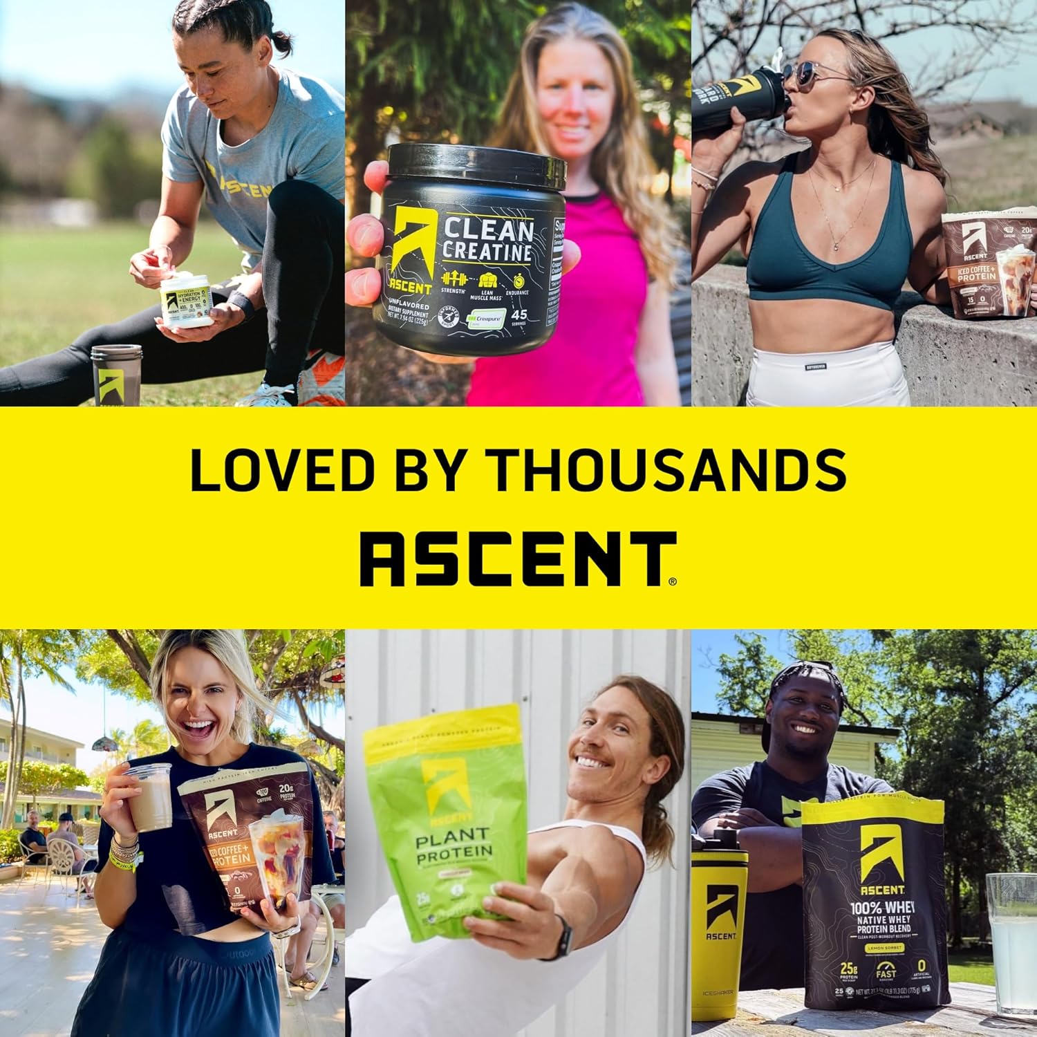 100% Whey Protein Isolate Powder - Mint Chip Flavor, Gluten-Free, 5.5g BCAA, Zero Artificial Additives, Post-Workout Recovery Supplement