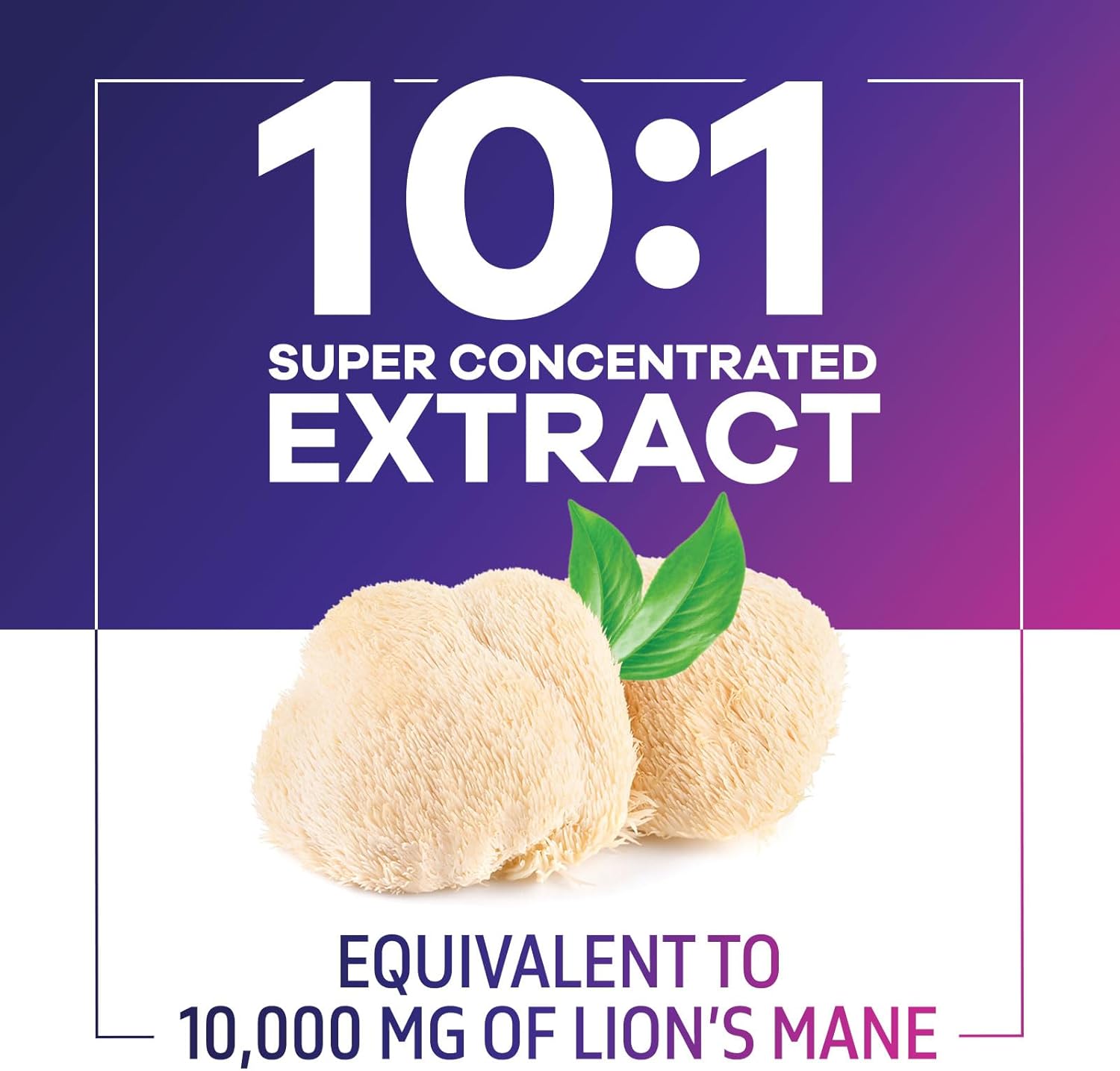 10,000mg Lions Mane Mushroom Capsules for Memory, Focus, Brain & Immune Health - 120 Capsules