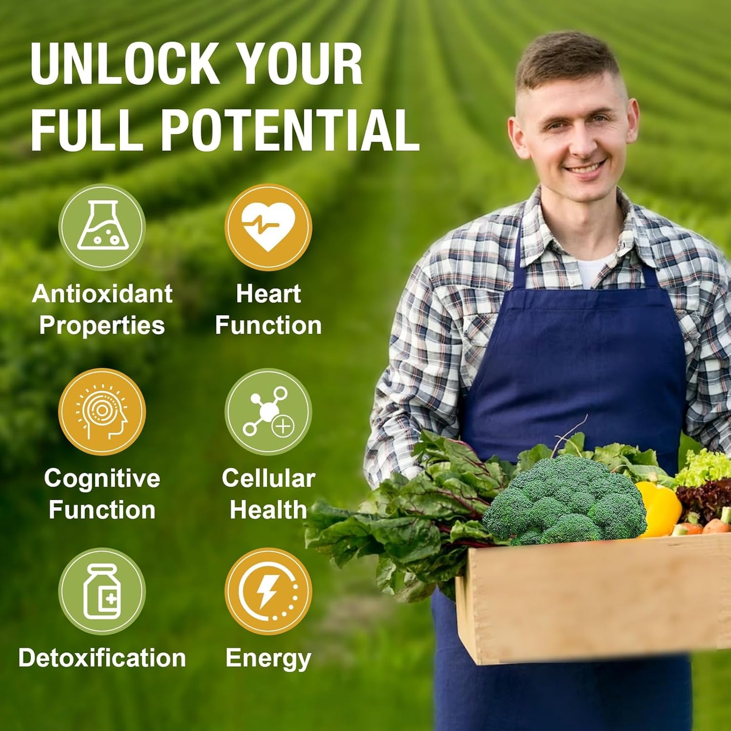 1000mg Rosmolo Liposomal Palmitoylethanolamide + 800mg Dual-Delivery Liposomal Sulforaphane for Enhanced Absorption