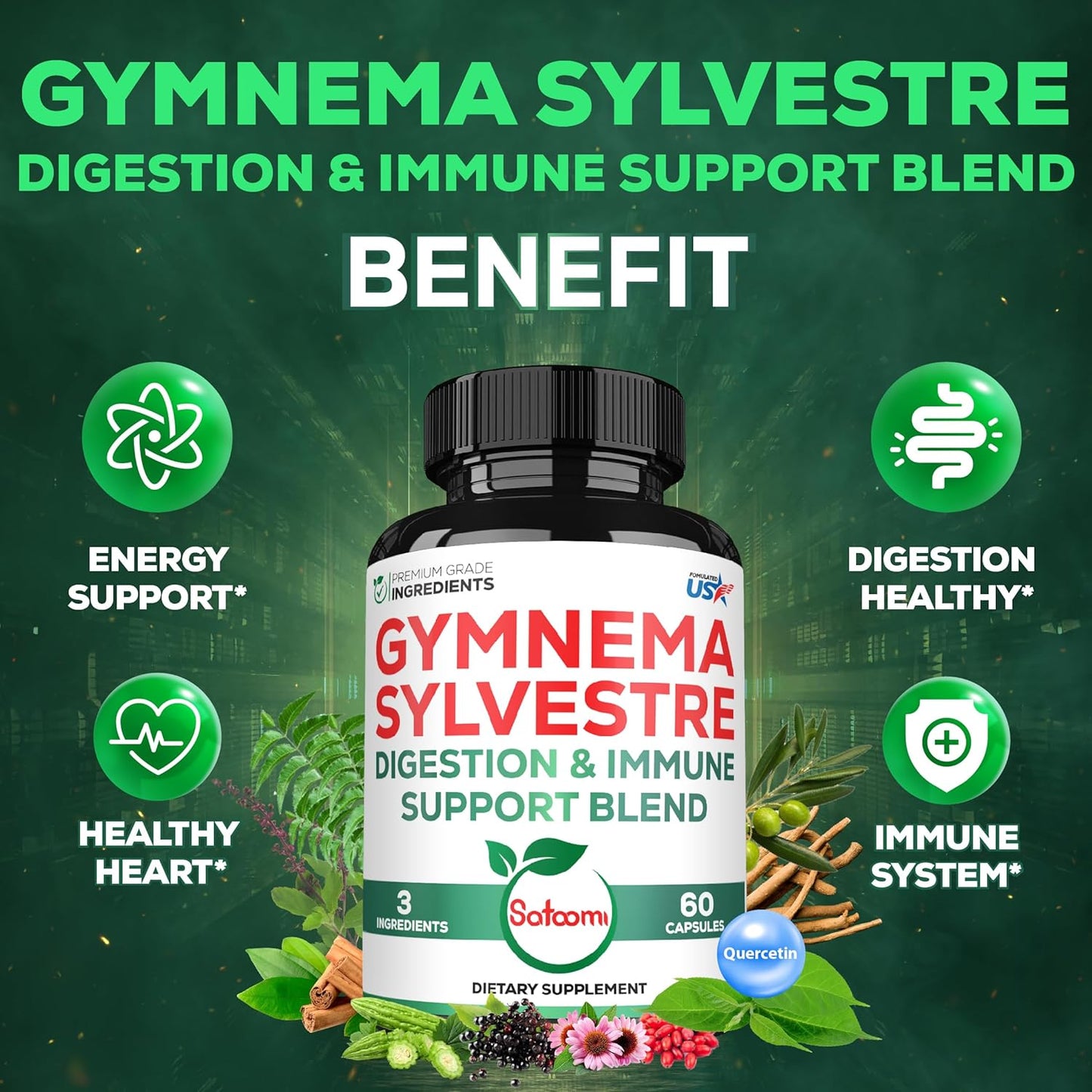 1000mg Satoomi Extract 20:1 Gymnema Sylvestre Supplements with Berberine HCl, Ceylon Cinnamon, Elderberry - Immune System & Circulatory Health Support - 60 Capsules