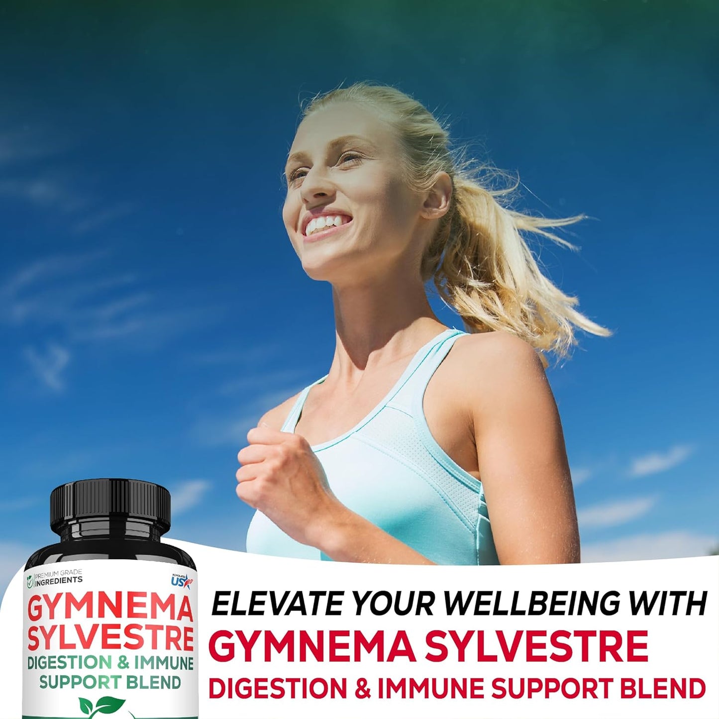 1000mg Satoomi Extract 20:1 Gymnema Sylvestre Supplements with Berberine HCl, Ceylon Cinnamon, Elderberry - Immune System & Circulatory Health Support - 60 Capsules