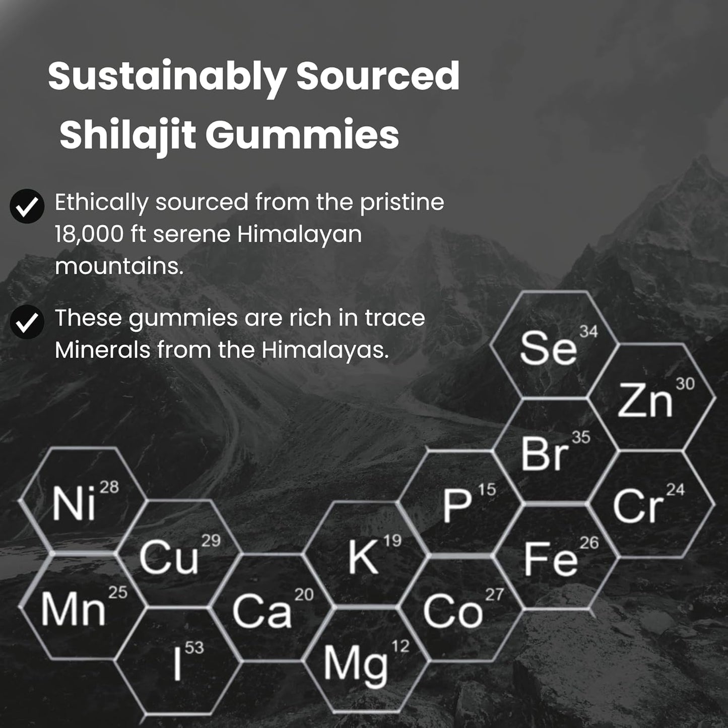 1000mg Sugar Free Shilajit Resin Gummies for Men & Women | Immunity, Energy, Vitality & Brain Support | 85+ Trace Minerals | Natural Raspberry Flavor - 60 Count