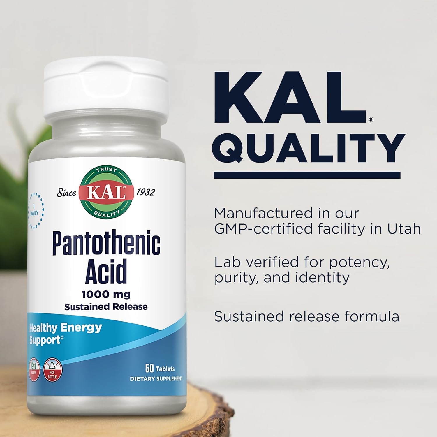 1000mg Sustained Release Pantothenic Acid - Vitamin B5 Energy Supplement for Metabolism, Hair & Skin Health - Vegan, 60-Day Guarantee - 50 Tablets