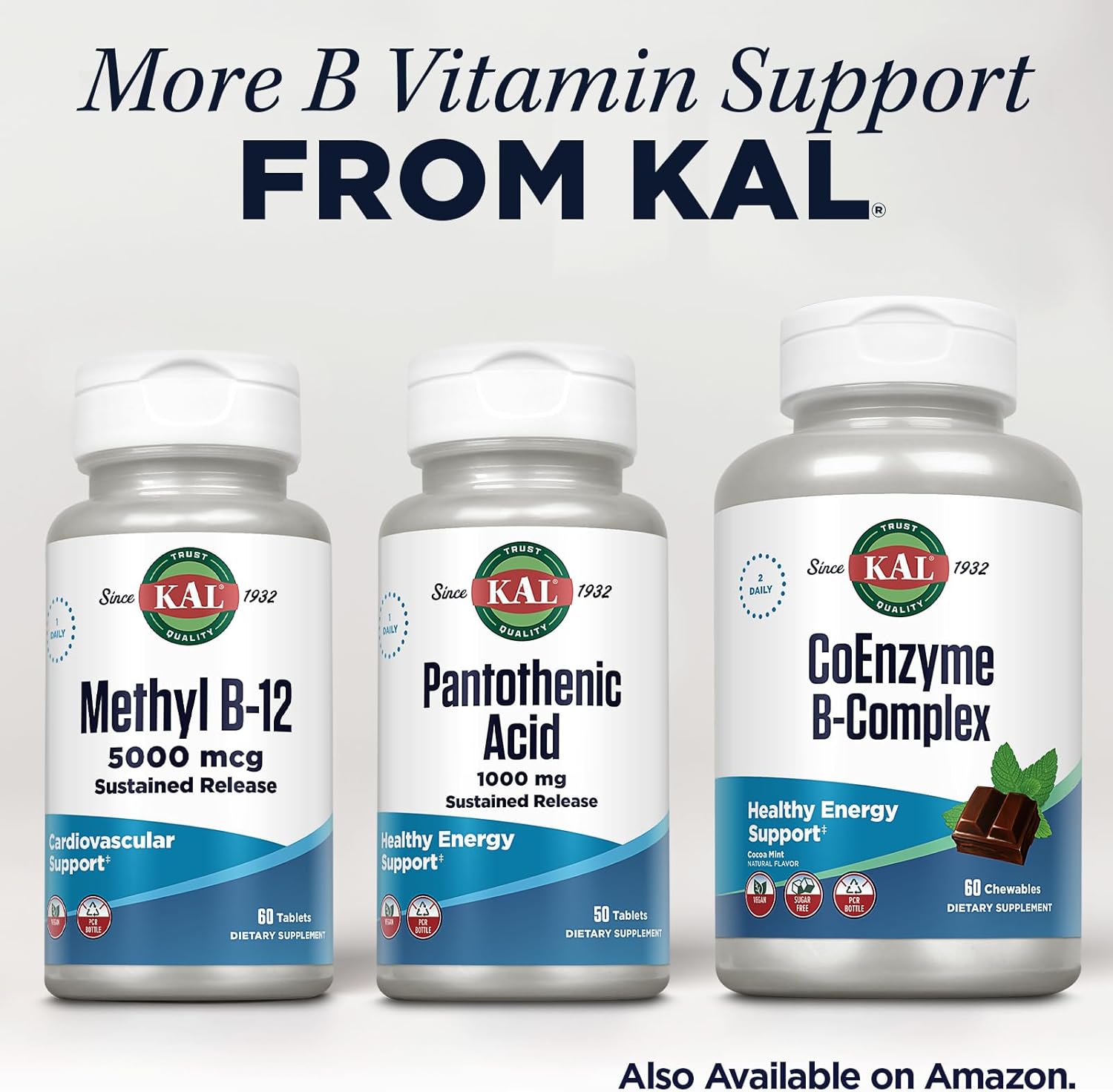 1000mg Sustained Release Pantothenic Acid - Vitamin B5 Energy Supplement for Metabolism, Hair & Skin Health - Vegan, 60-Day Guarantee - 50 Tablets