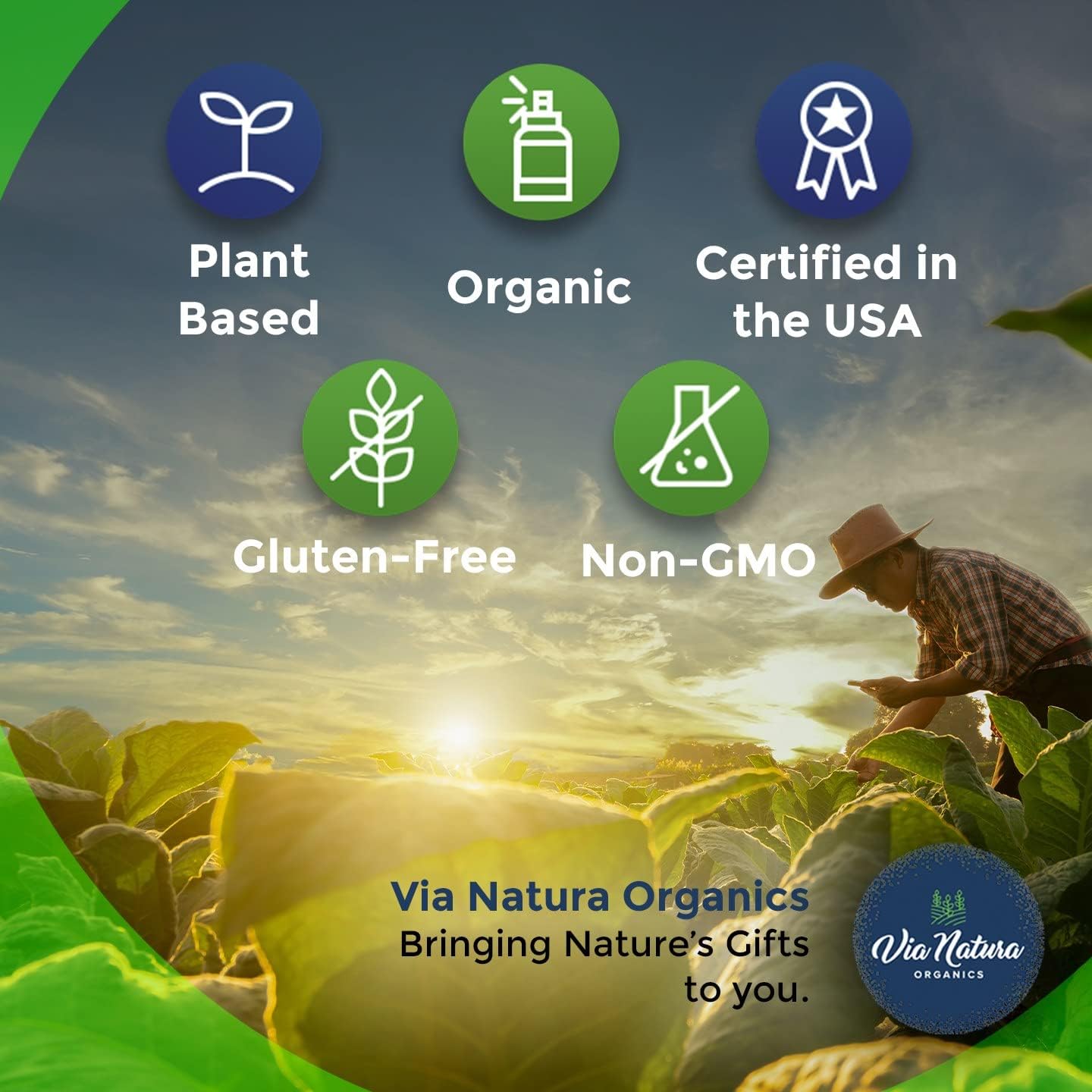 1000mg Turmeric & Ginger Capsules | 120 Organic Herbal Supplement Capsules by Via Natura Organics