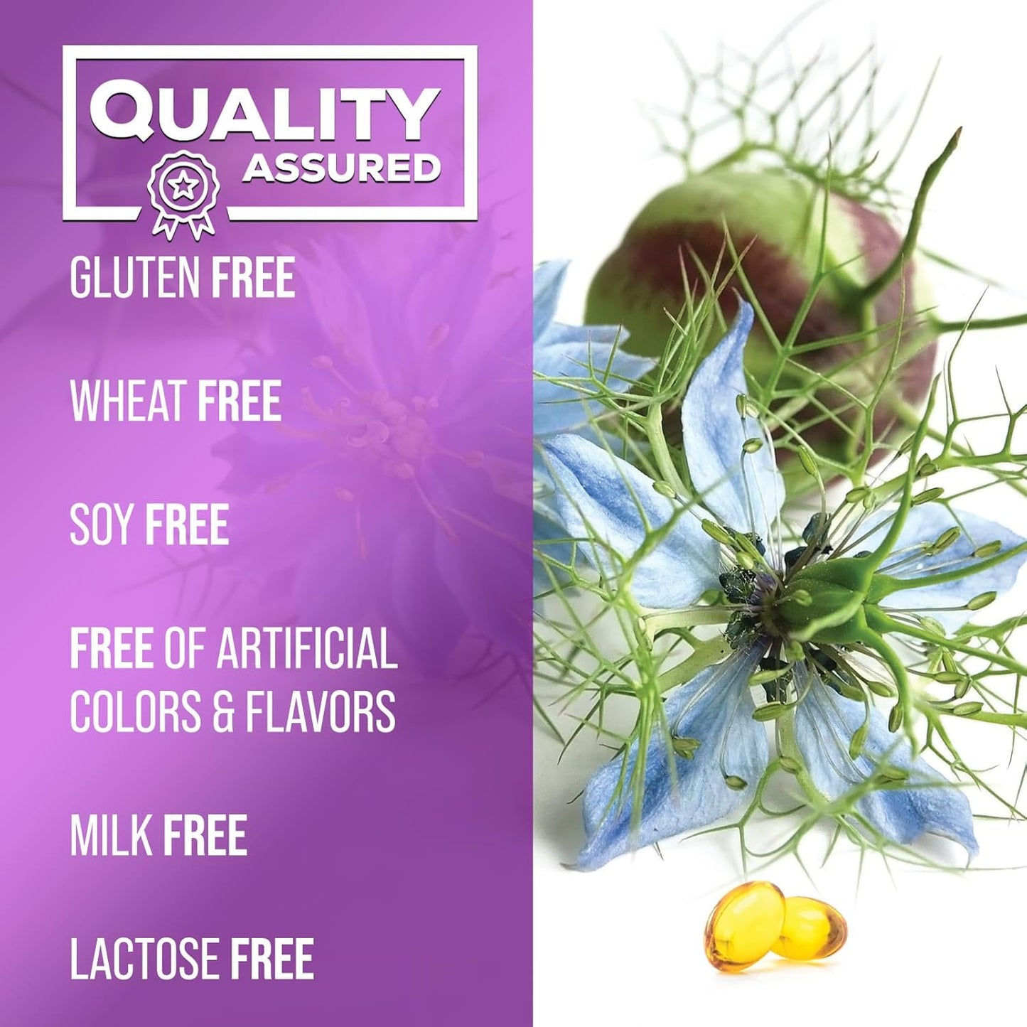 1000mg Vegan Black Seed Oil Capsules for Skin & Immune Support - Pure Nigella Sativa Extract - 60 Softgels