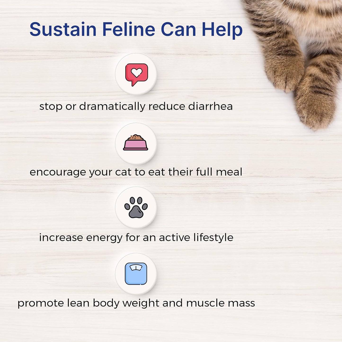 100g EMERAID Sustain Feline Recovery Food for Cats - Balanced Nutrition for Cat Recovery