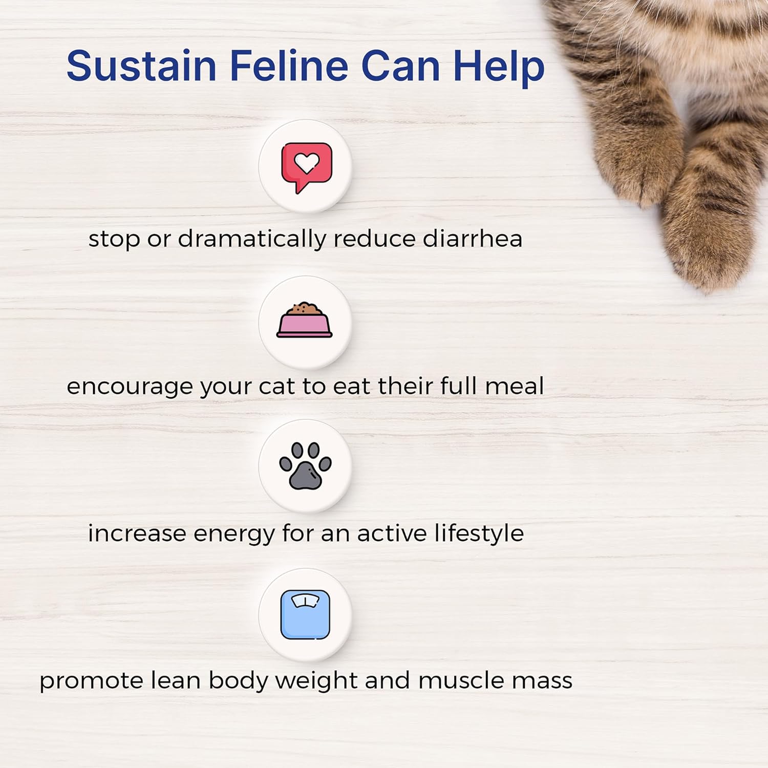 100g EMERAID Sustain Feline Recovery Food for Cats - Balanced Nutrition for Cat Recovery