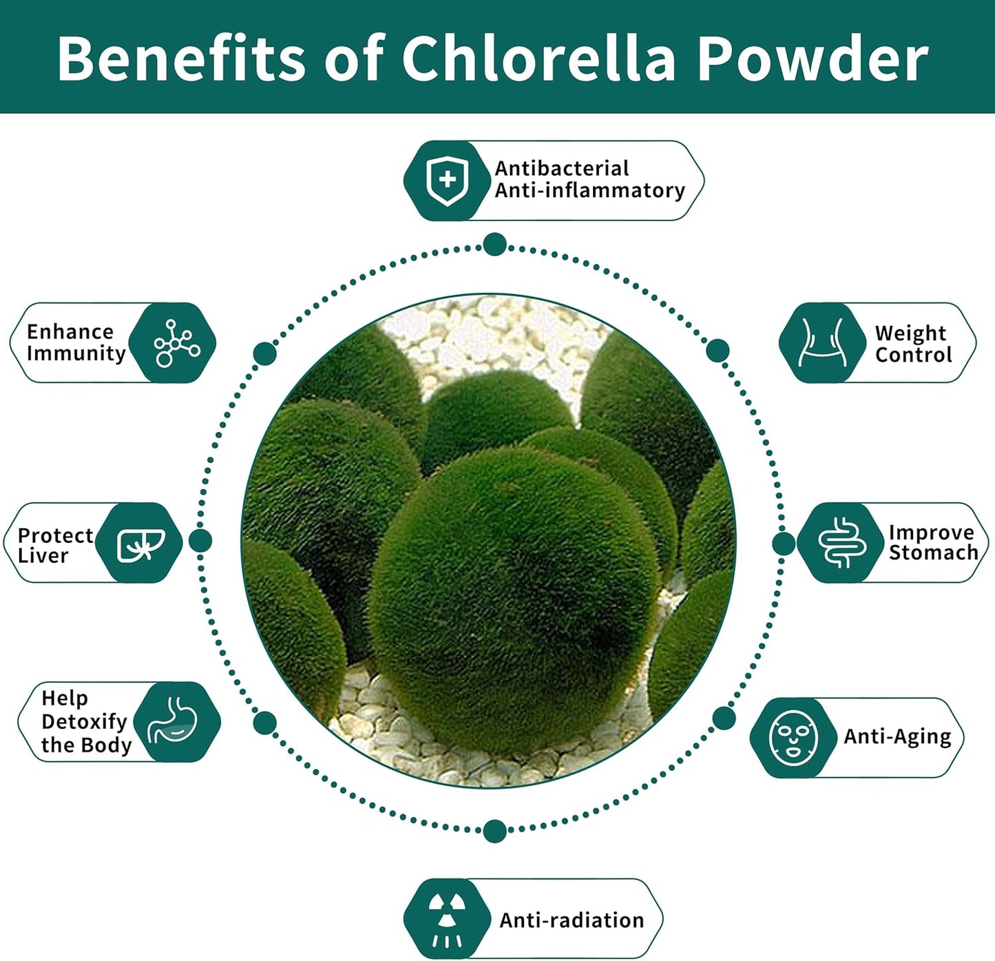 11 oz Hudetex Chlorella Powder: Natural Chlorophyll Powder, Supports Immune System & Liver, Youthful Vegan Protein & Vitamins