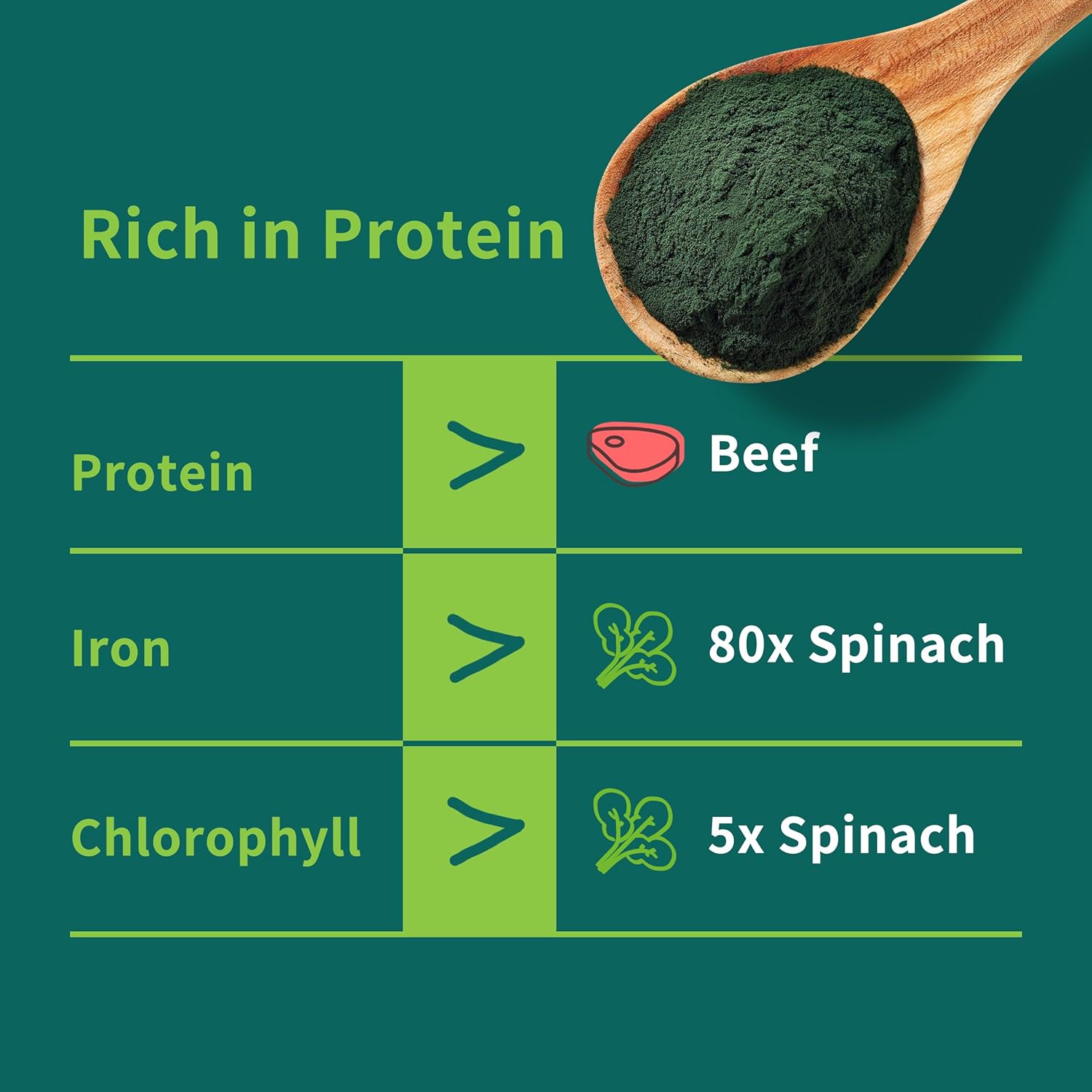 11 oz Hudetex Chlorella Powder: Natural Chlorophyll Powder, Supports Immune System & Liver, Youthful Vegan Protein & Vitamins