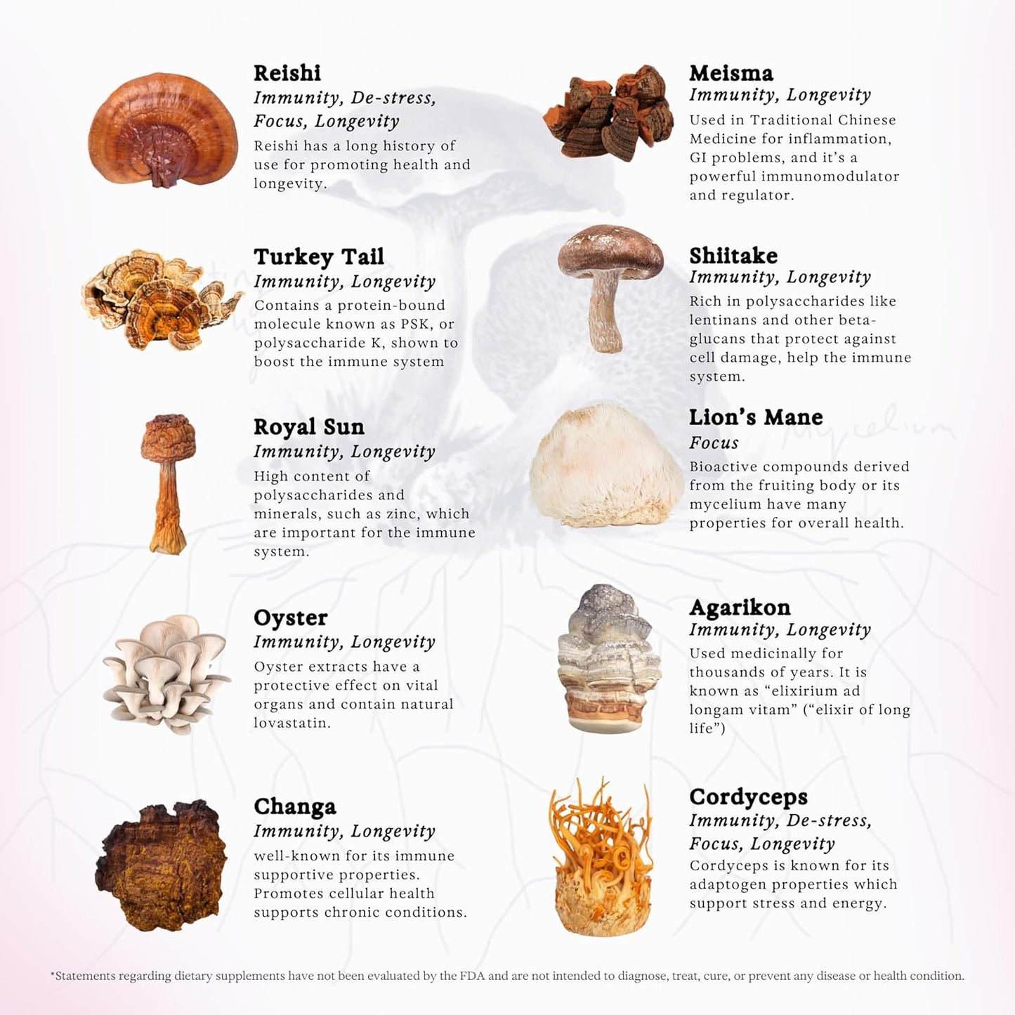 11:11 Multi Mushroom Tincture, Liquid Lion's Mane & Turkey Tail Supplement, Vegan, Non GMO - Immune & Brain Support, 3.4 fl oz