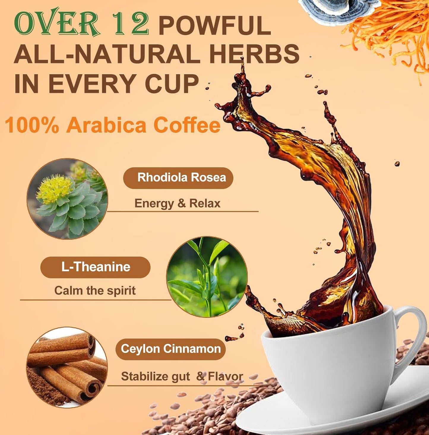 12-in-1 Mushroom Coffee Mix with Lion's Mane, Turkey Tail, Chaga, Cacao, L-Theanine for Immune Support & Energy Boost