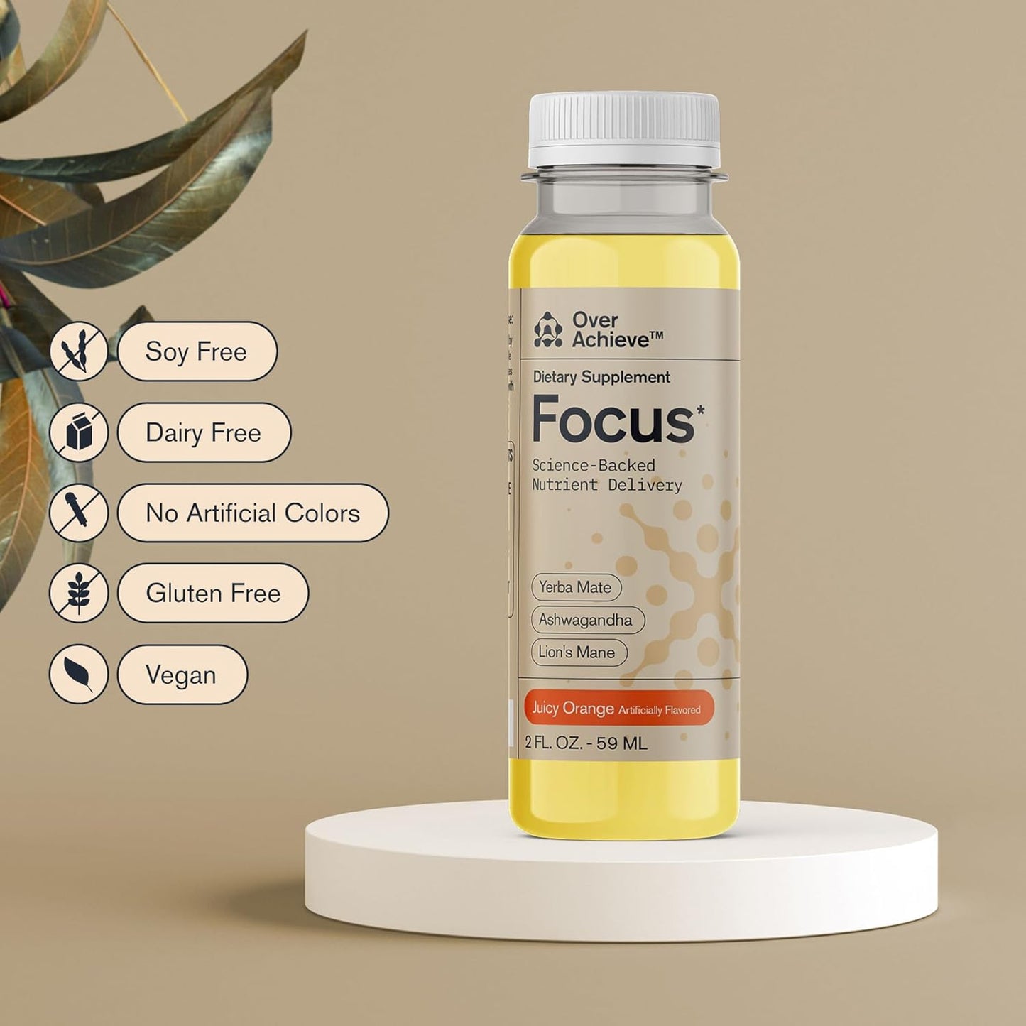 12 Pack Brain Focus Drink for Concentration - Yerba Mate, Ashwagandha, Lions Mane Mushroom - Advanced Nanoscience - Orange Flavor, 2oz