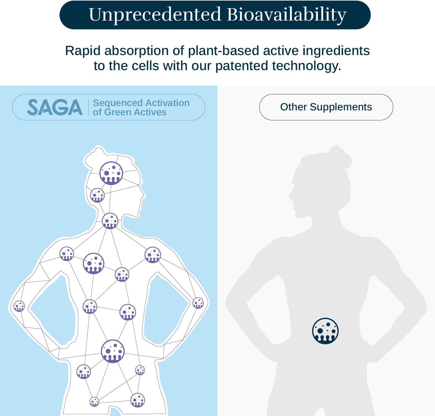 12-Pack of Saga Organic Relaxation Shots with Adaptogens & Lion's Mane Mushrooms - Fast-Acting Mood Booster & Fatigue Reducer in Strawberry Cucumber Flavor
