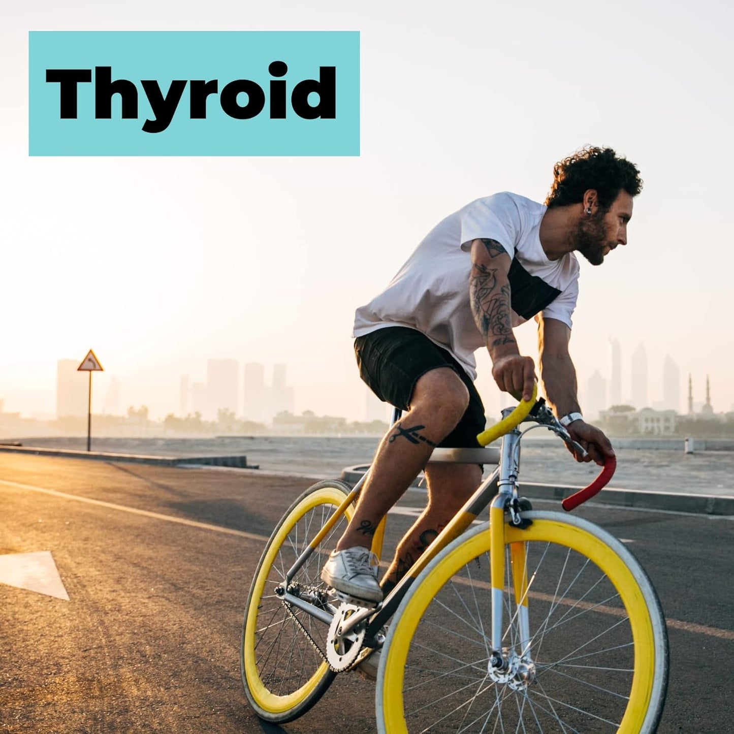 120 Capsules of Ko & Co's Dandy Decor Nurture Nutri Organic Sea Moss Complex - Irish Sea Moss and Bladderwrack Supplement