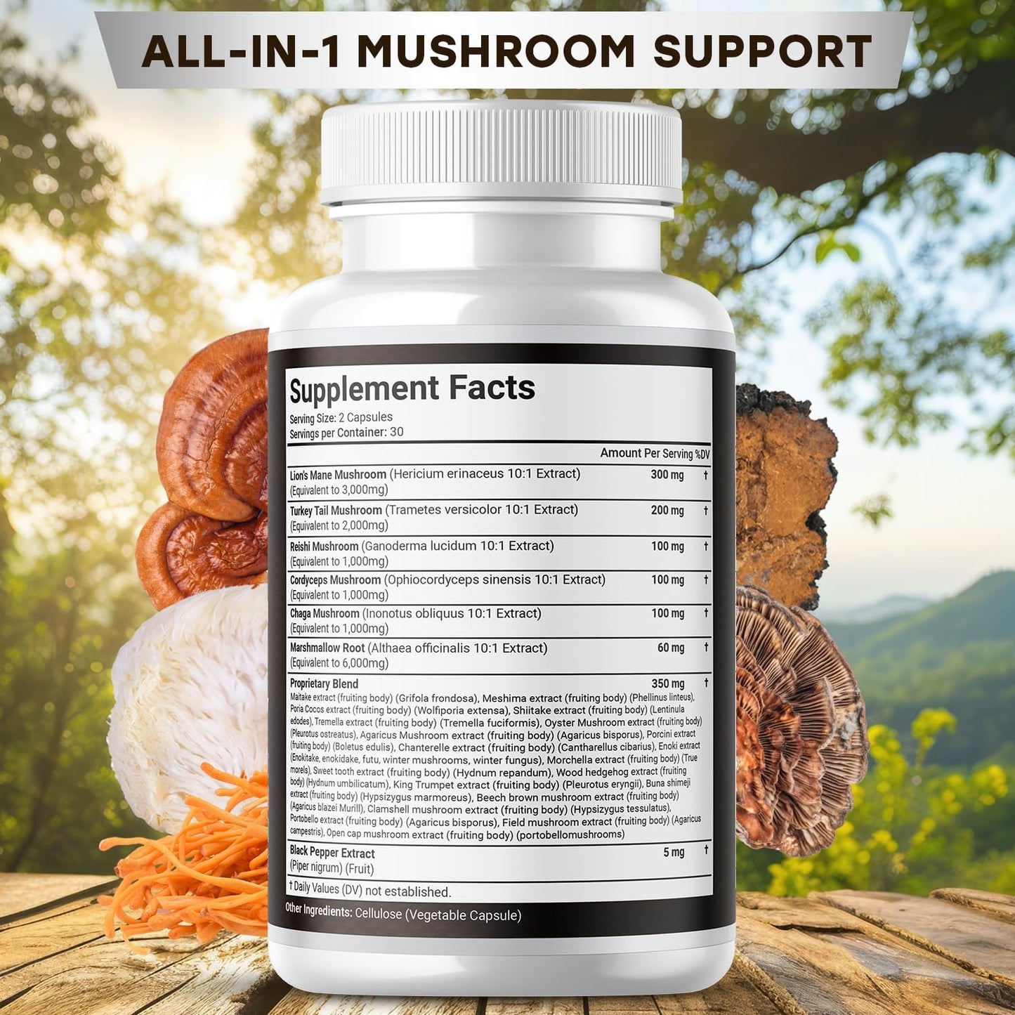 120 Count Lions Mane & Mushroom Supplement for Cognitive & Immune Support with Reishi, Cordyceps, Chaga, Marshmallow Root by JB Wellness Co