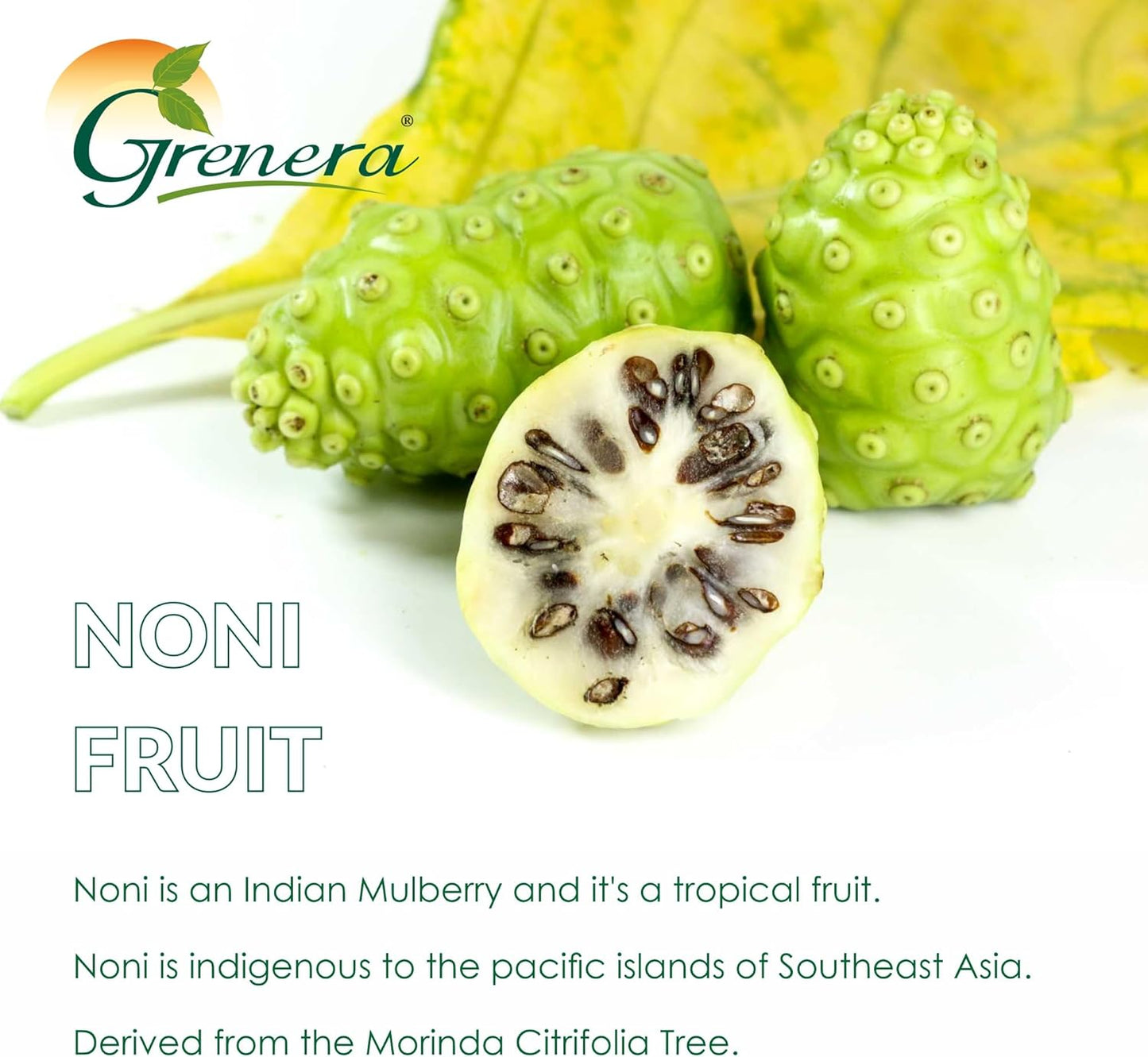 120 Count Noni Fruit Capsules by Grenera | Non-GMO, Gluten Free | Vegetarian Caps, No Fillers