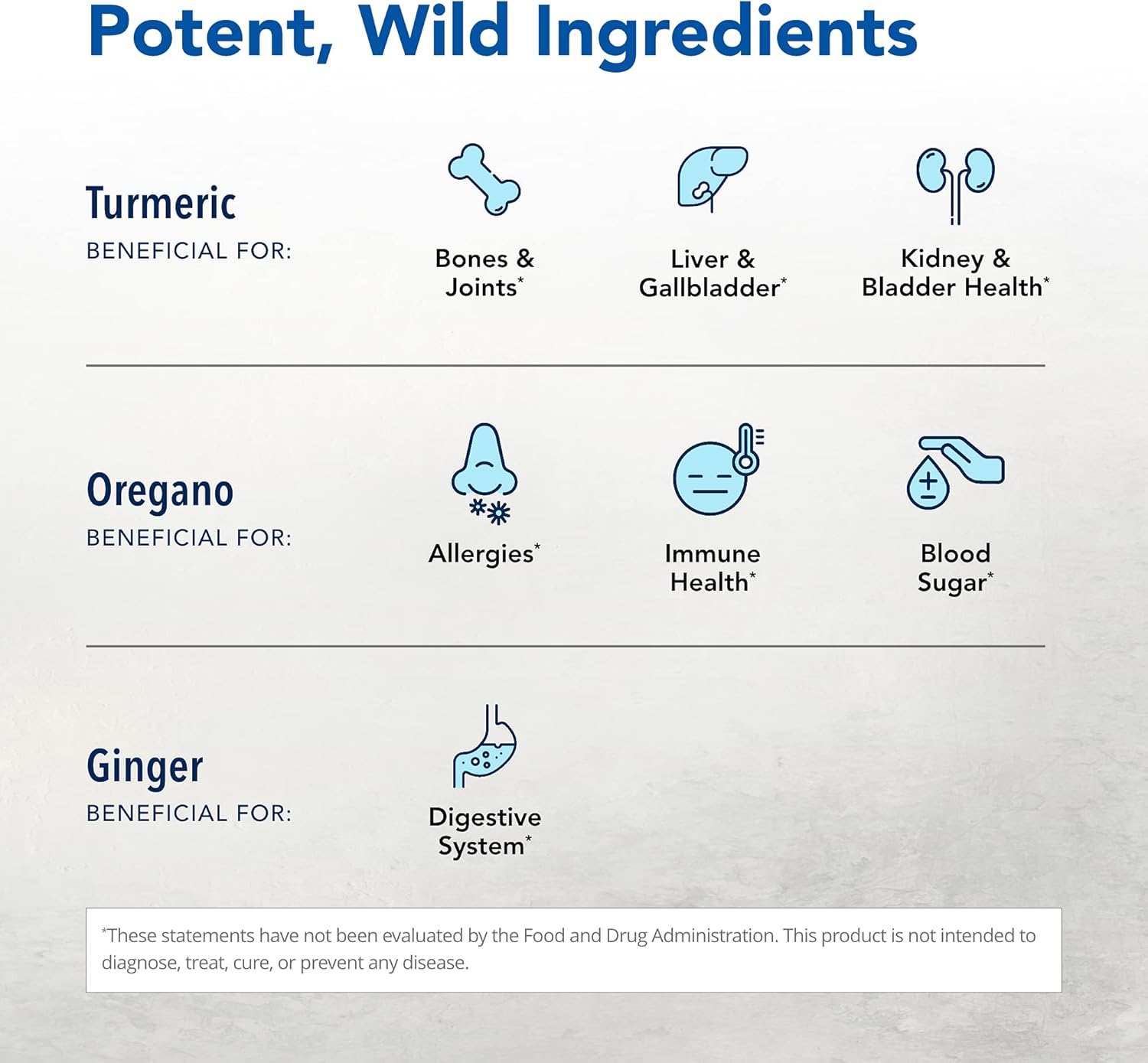 120 Count Turmeric Power-Plus Capsules - Whole Food Extract with Curcumin & Turmerones - Joint, Heart, Digestive Health Support - Antioxidant - Non-GMO - 60 Servings