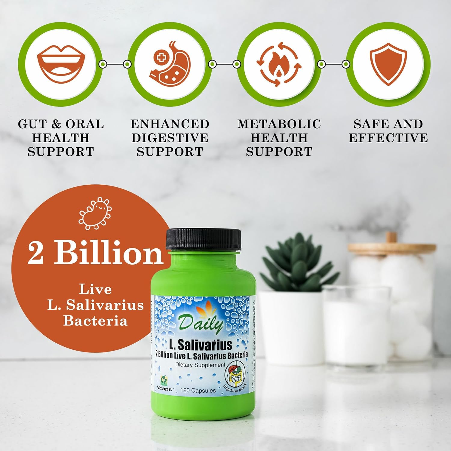 120 Delayed-Release L-Salivarius Probiotic Capsules for Daily Manufacturing