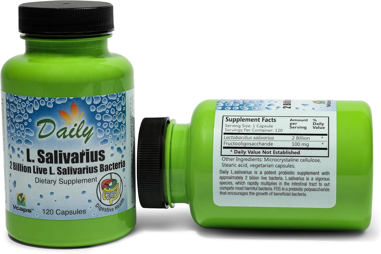 120 Delayed-Release L-Salivarius Probiotic Capsules for Daily Manufacturing