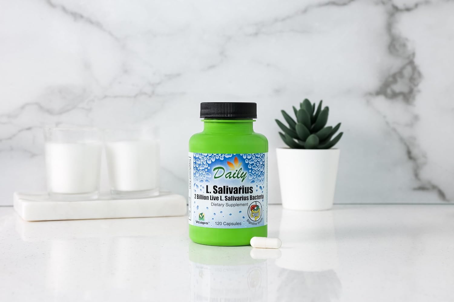 120 Delayed-Release L-Salivarius Probiotic Capsules for Daily Manufacturing