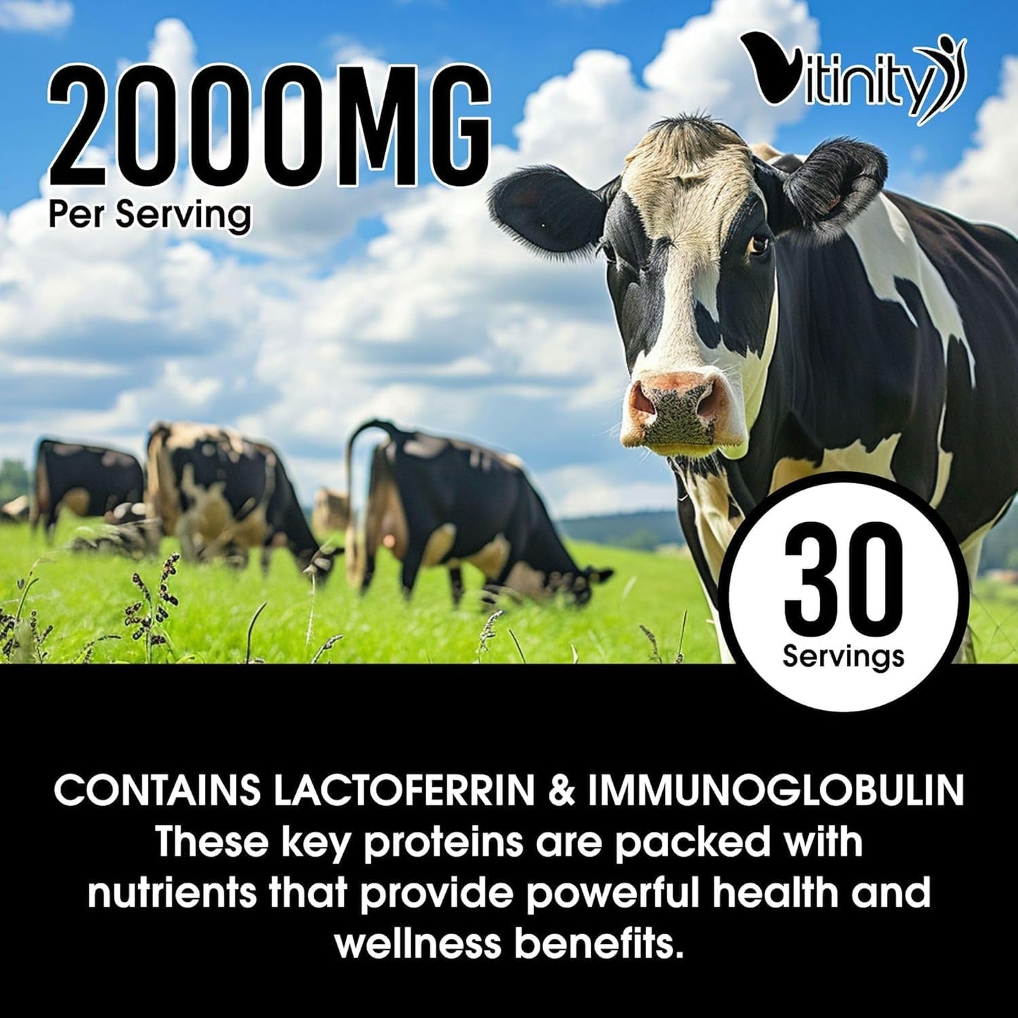 120 Grass Fed Bovine Colostrum Capsules for Gut Health, Immune Support, Muscle Recovery & Wellness - Natural IgG Supplement for Humans | Pure Colostrum Superfood, Unflavored