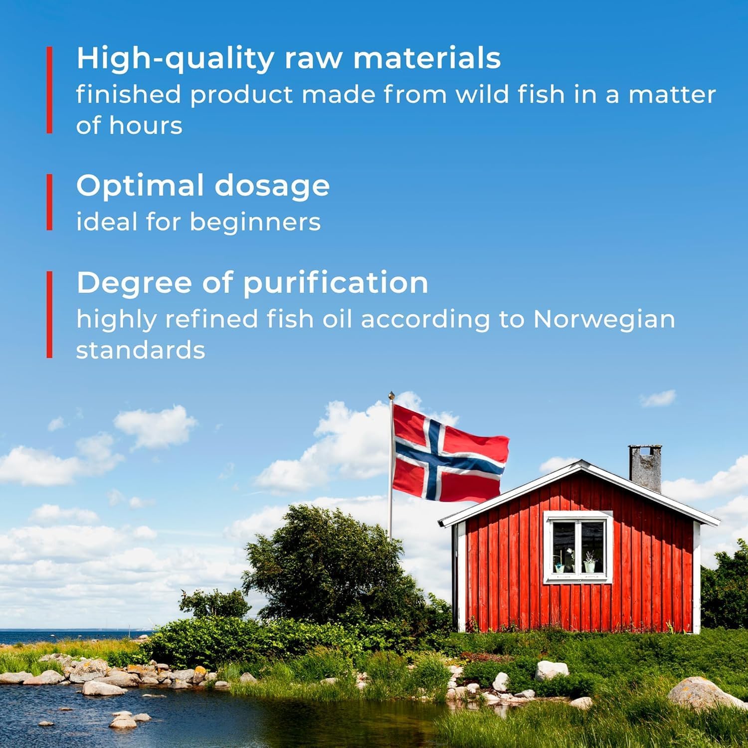 120 High-Dose Salmon Oil Capsules with Omega 3 6 9 from Fresh Wild Fish in Norway - Rich in DPA, EPA, DHA