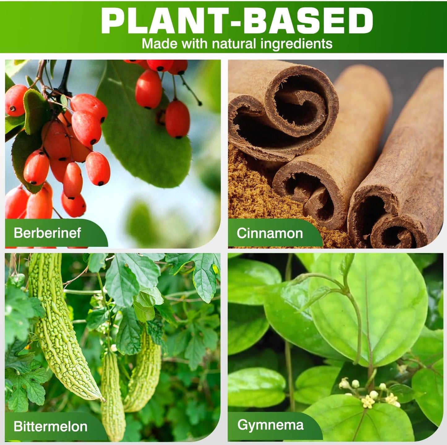 1200mg Berberine Supplement with Natural Plant-Based Ingredients - Berberine HCL, Cinnamon, Bittermelon, Gymnema - 120 Capsules