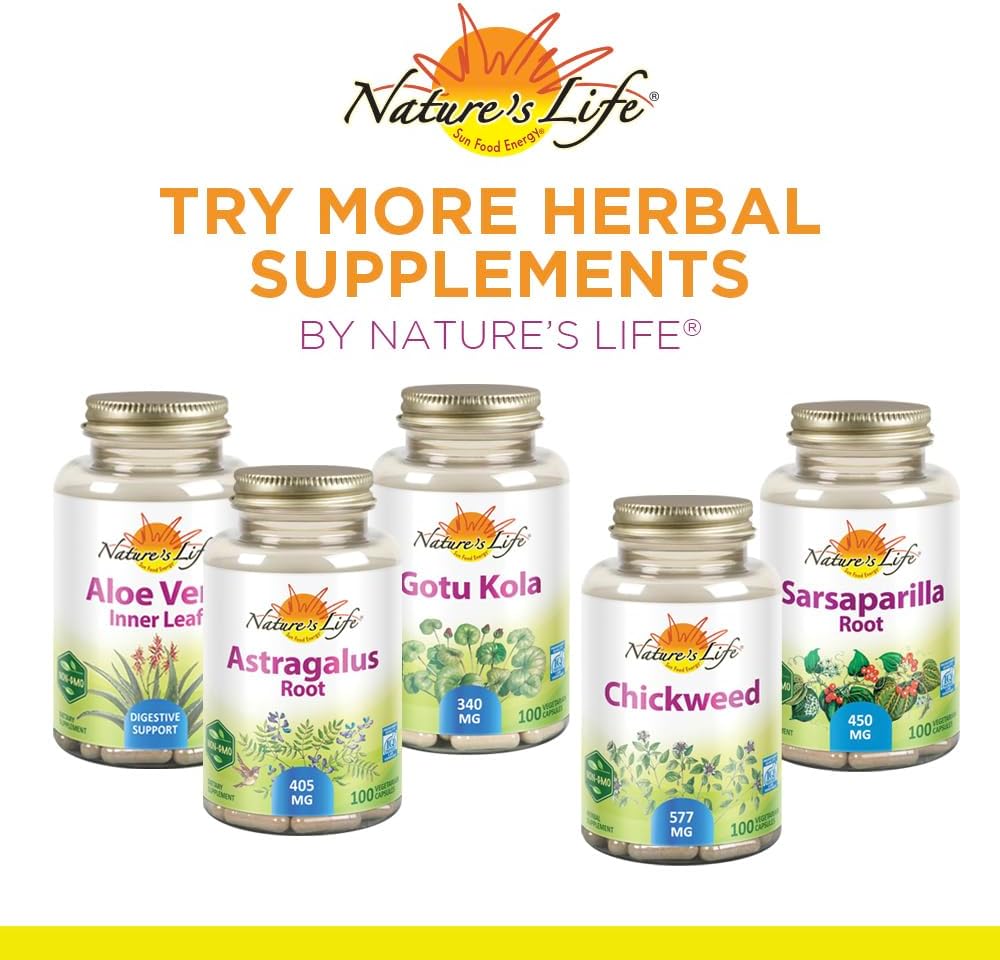 1200mg Reishi Mushroom Capsules for Immune Function, Energy & Mood Support - Non-GMO & Lab Verified - 100 Vegetarian Capsules