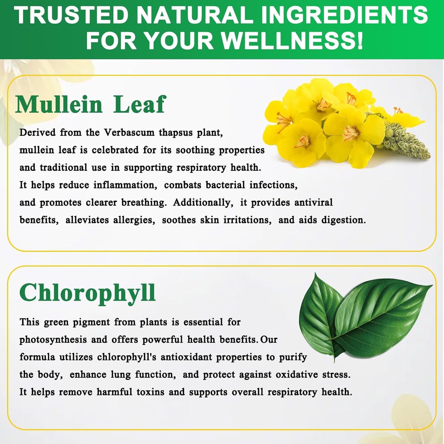 120ML Mullein Leaf Extract Drops for Lung Cleanse - Natural Supplement for Immune & Respiratory Health Support - Ideal for Smokers